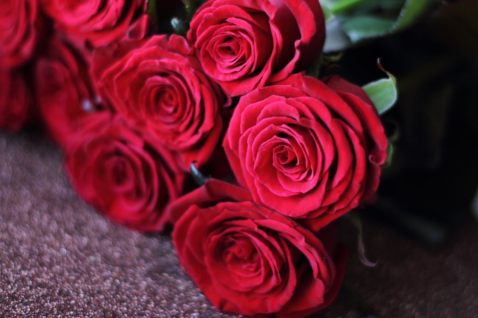 Canon EOS 7D + Canon EF 50mm F1.4 USM sample photo. Red, roses, rose photography