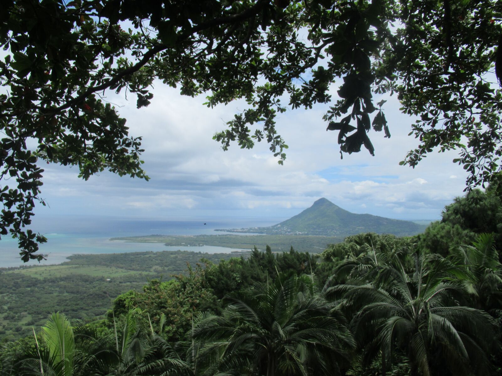 Canon PowerShot SX620 HS sample photo. Mountain, trees, mauritius photography