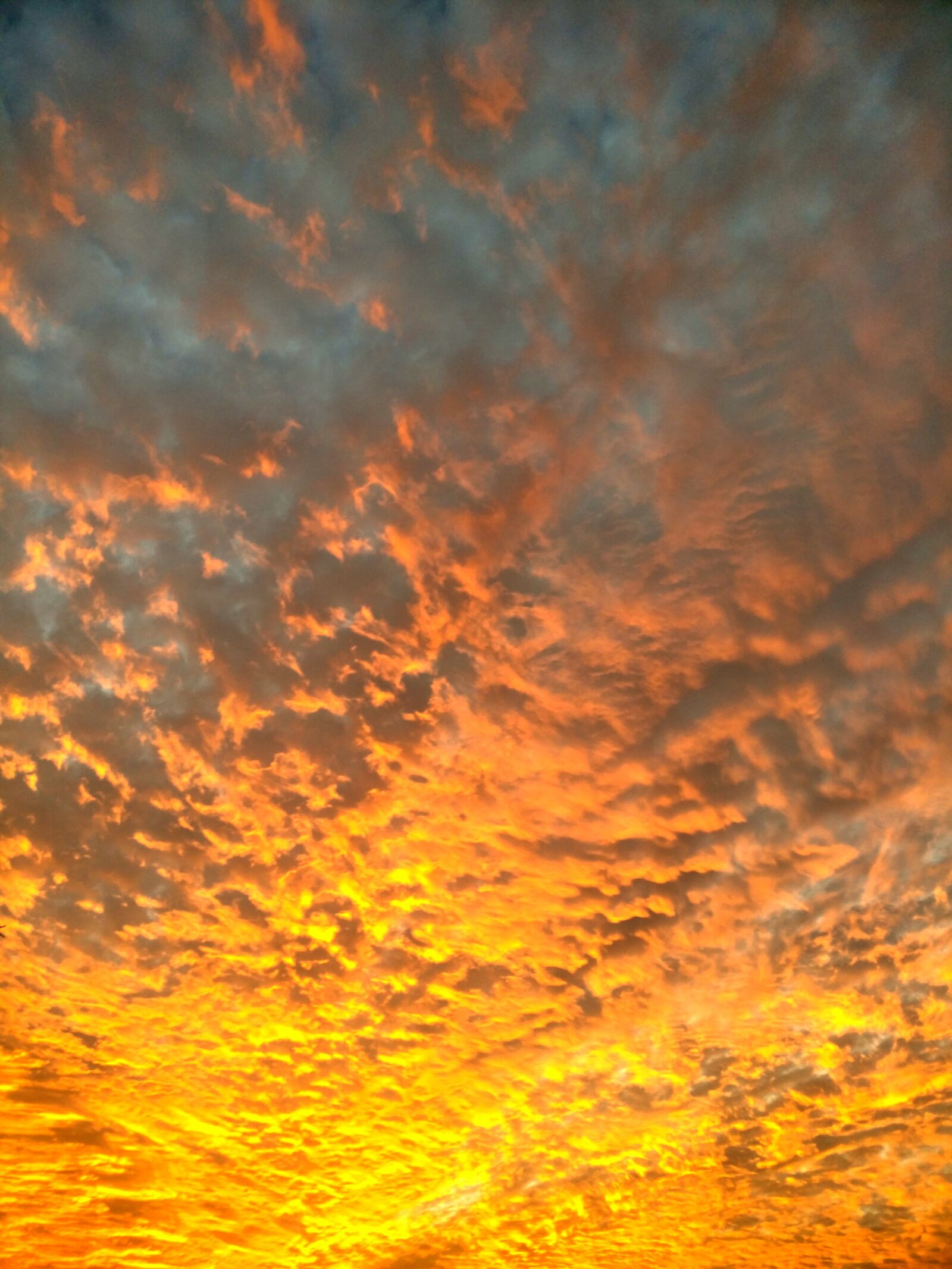 OnePlus A3000 sample photo. Sky, sunset, cloud photography