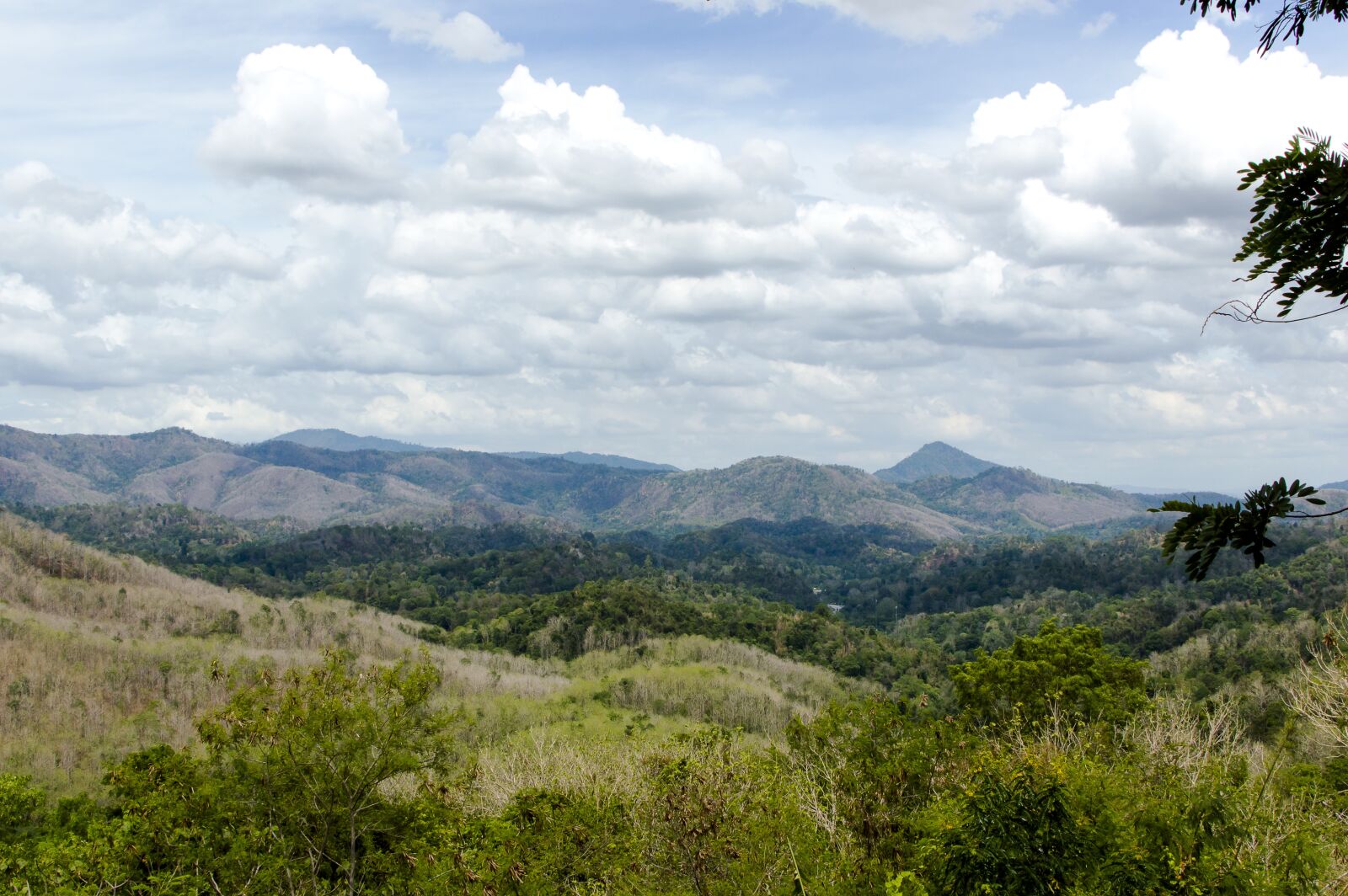 Nikon D3200 sample photo. Sky, background, outdoor photography
