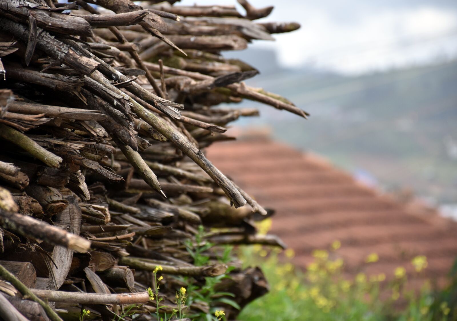 Nikon D5500 sample photo. Wood stack, fire, village photography