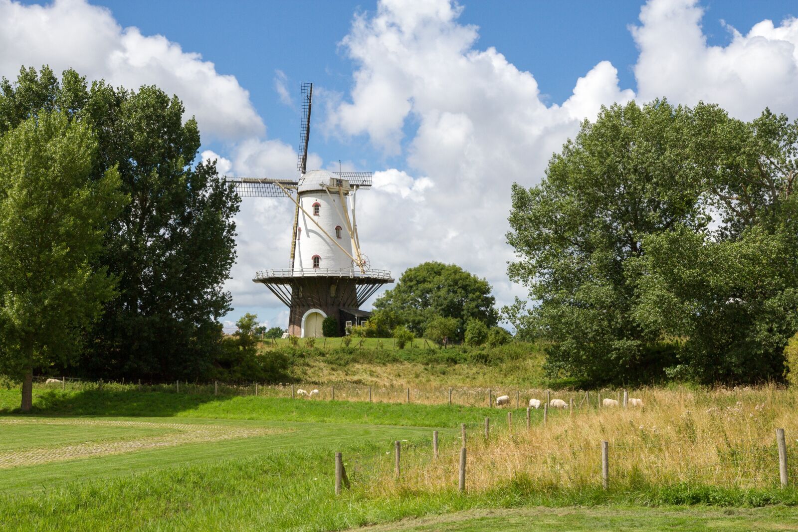 Canon EOS 7D sample photo. Windmill, holland, wing photography