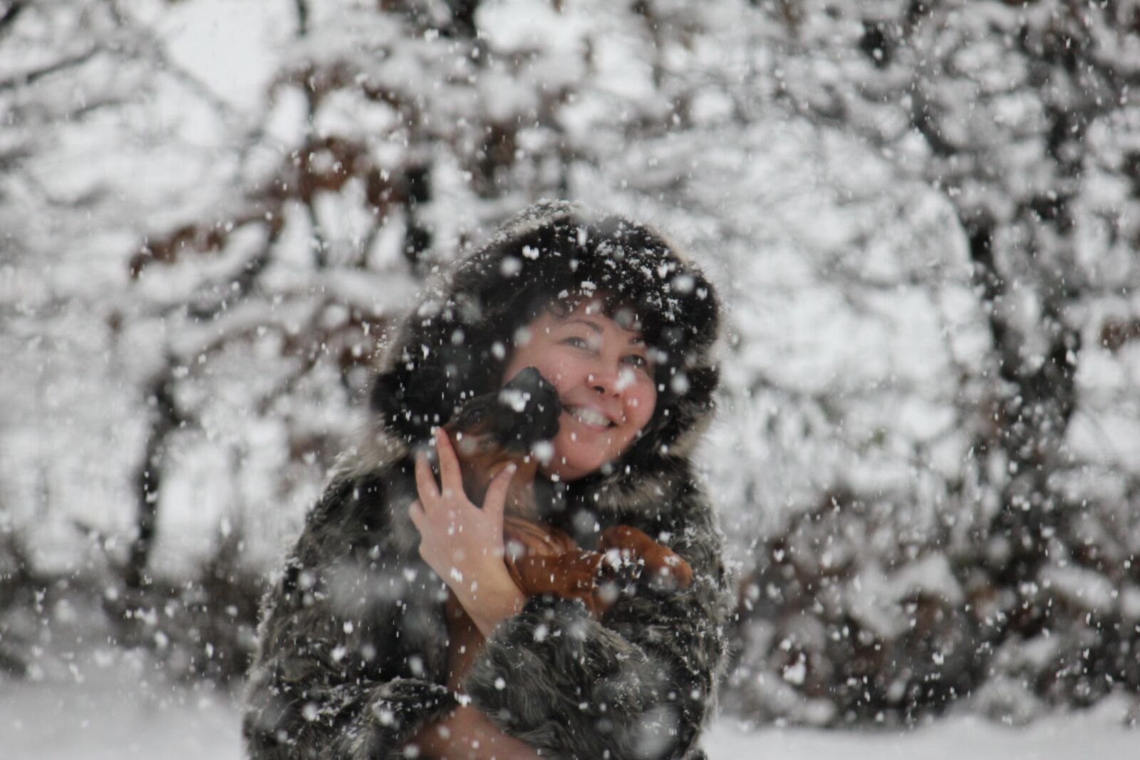 Canon EOS 550D (EOS Rebel T2i / EOS Kiss X4) sample photo. Woman, dog, snow photography