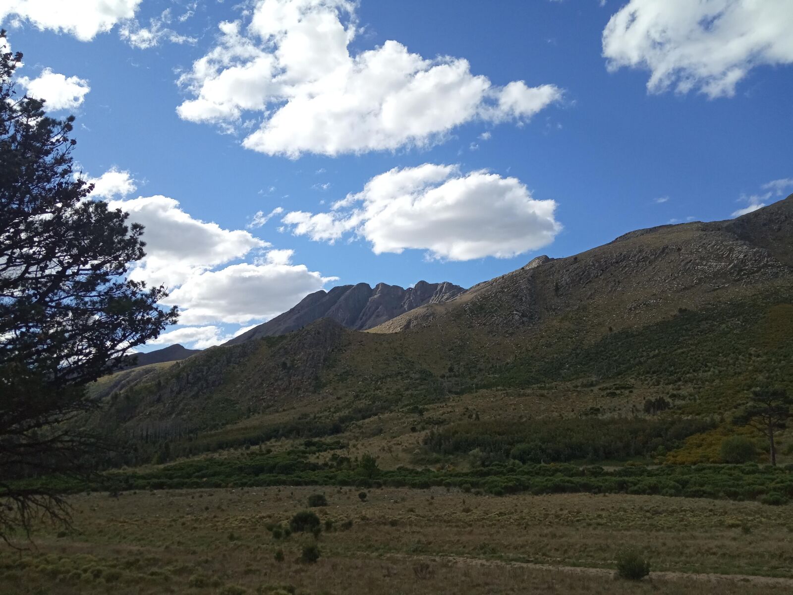 Xiaomi Redmi 6A sample photo. Trees, pine trees, mountains photography