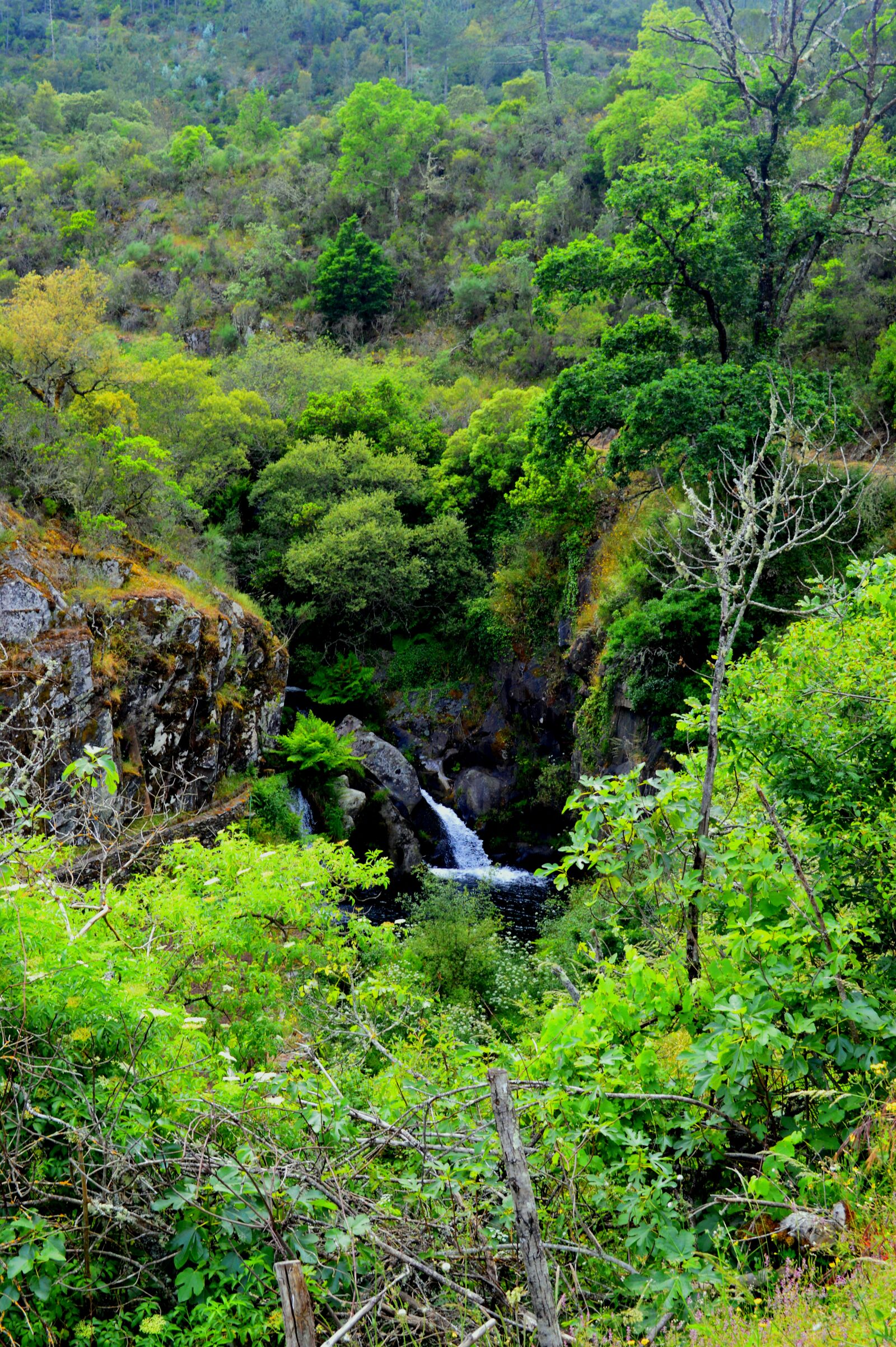 Nikon D3200 sample photo. Nature, nature, photography, waterfall photography