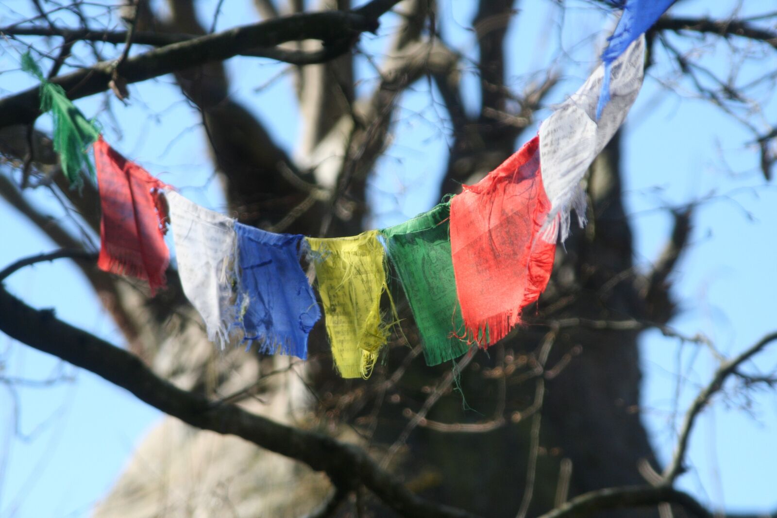 Canon EOS 350D (EOS Digital Rebel XT / EOS Kiss Digital N) sample photo. Flags, prayers, tibet photography