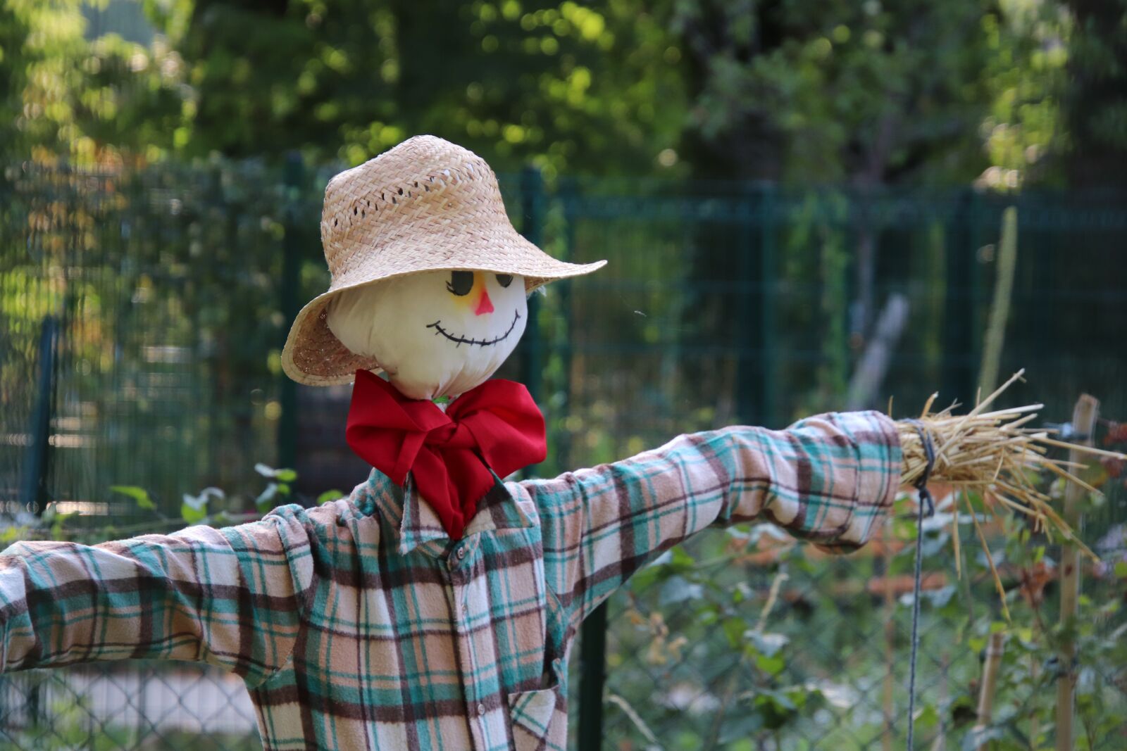 Canon EOS 800D (EOS Rebel T7i / EOS Kiss X9i) sample photo. Scarecrow, garden, gardening photography