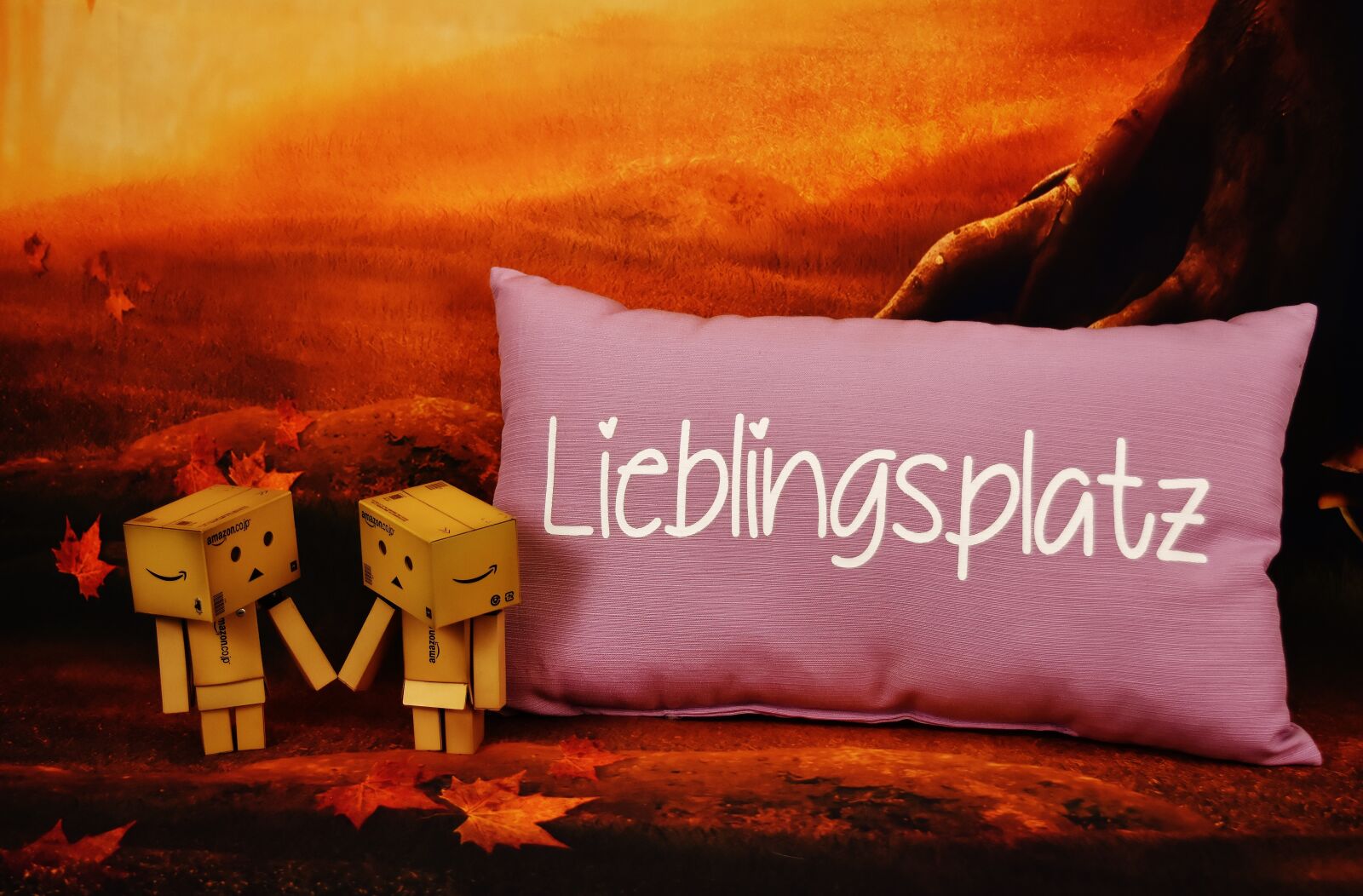 Nikon D7200 sample photo. Love, danbo, favorite place photography