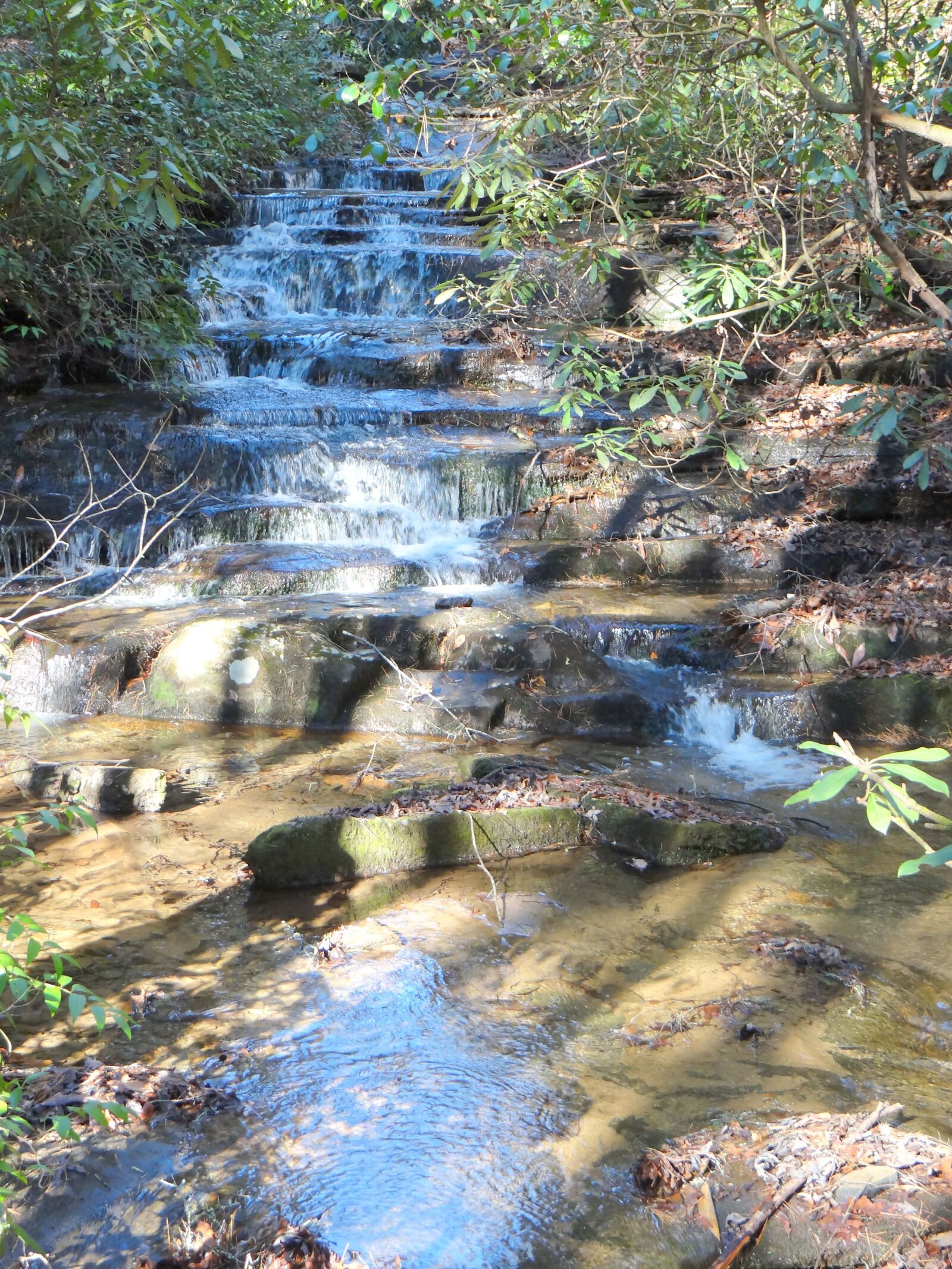 Sony DSC-HX200V sample photo. Running, brook, running, water photography