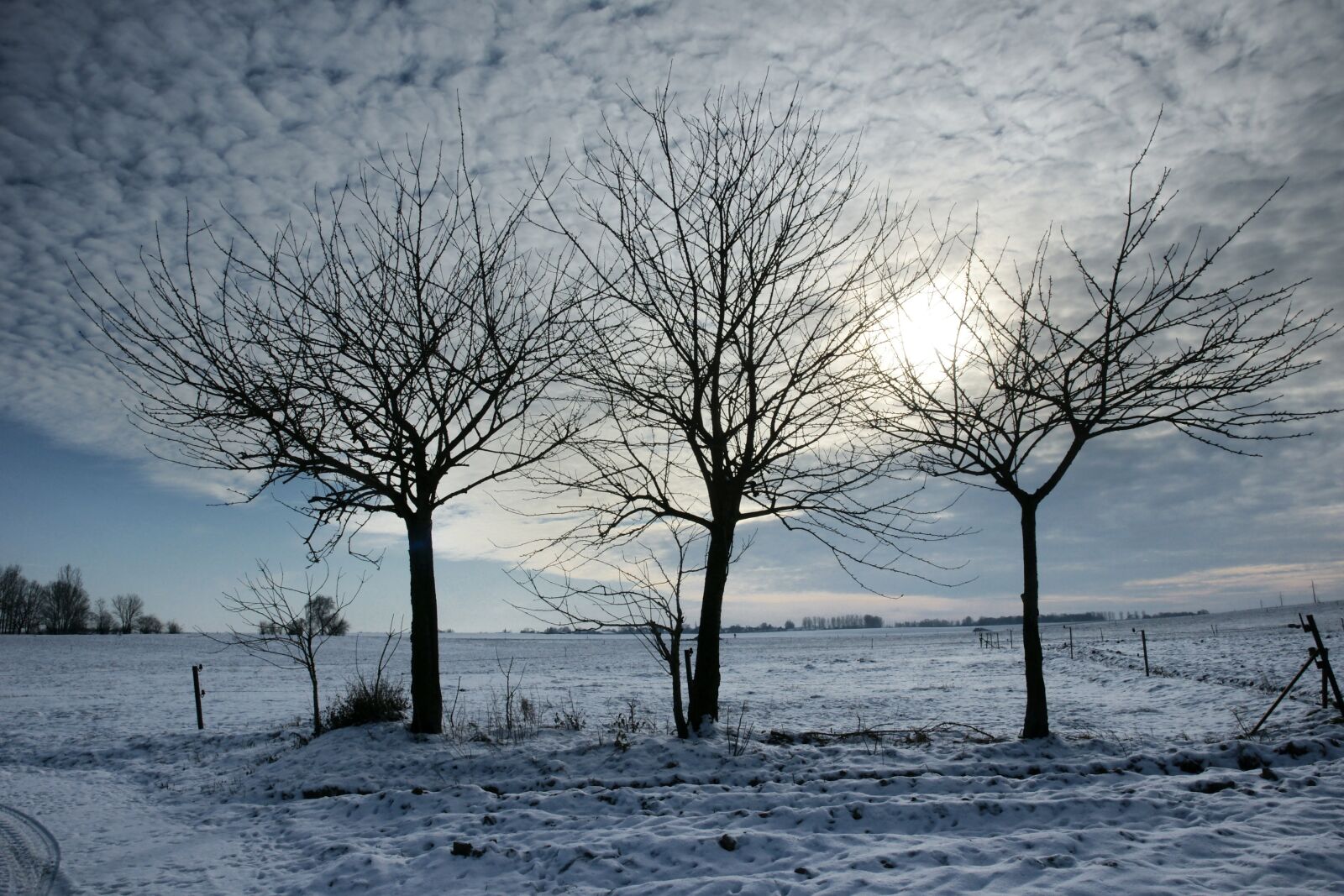 Sony Alpha DSLR-A700 sample photo. Winter, cold, snow photography