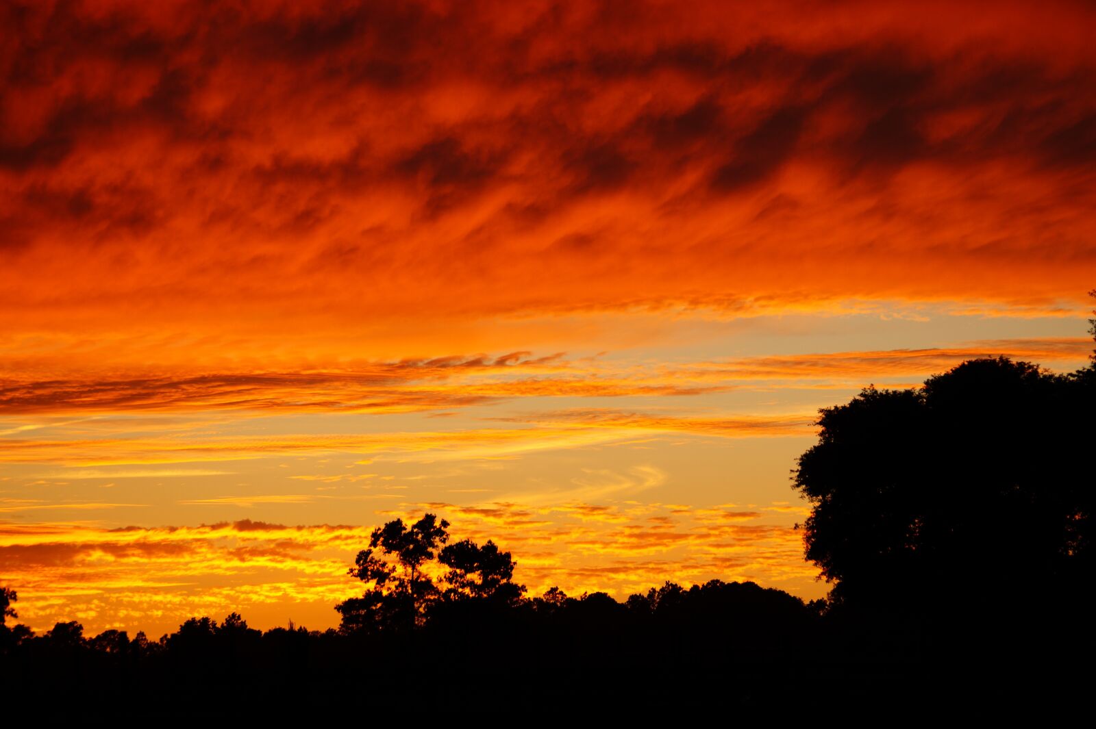 Sony DT 55-300mm F4.5-5.6 SAM sample photo. Sunset, evening, sky photography