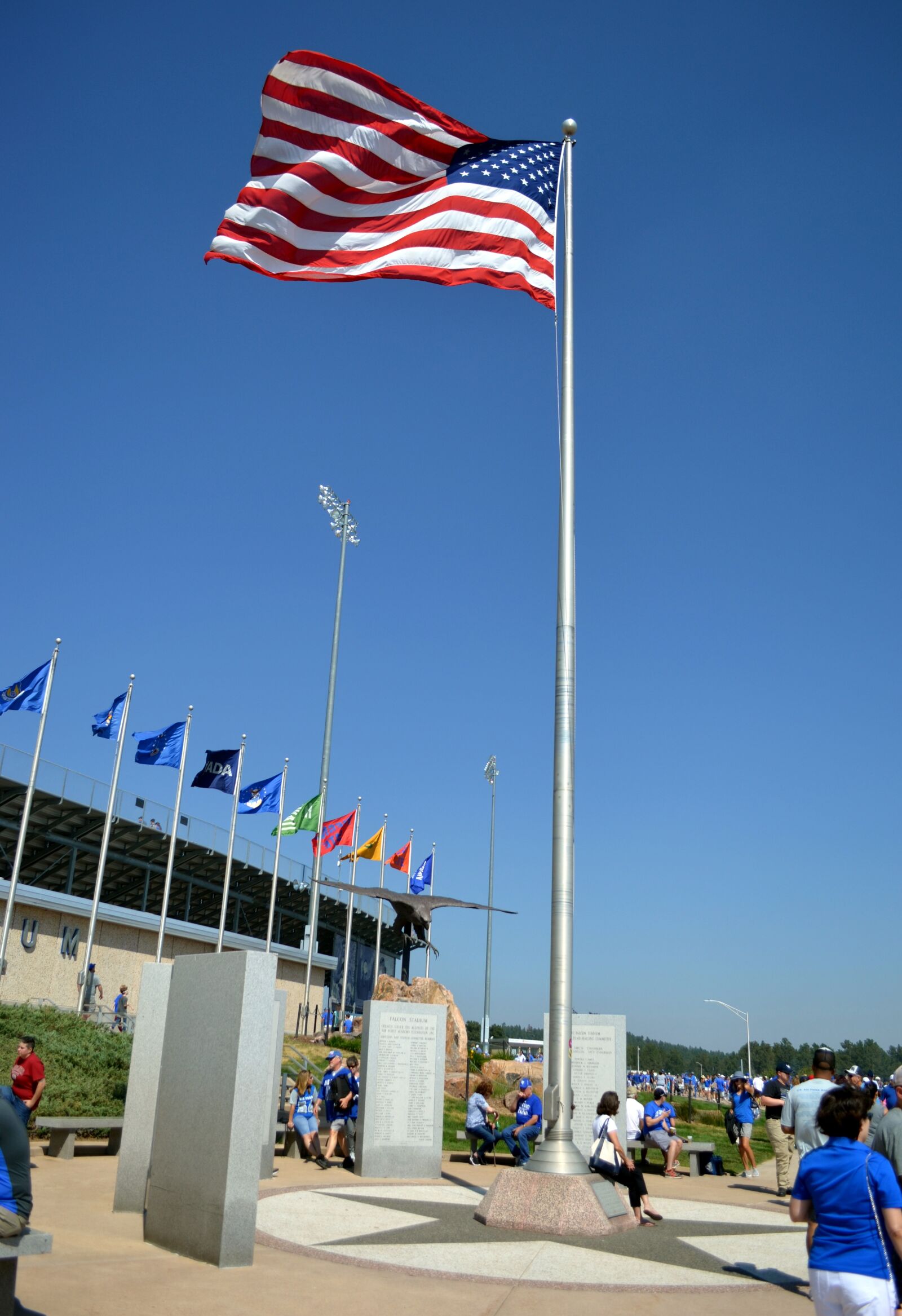 Nikon D5100 sample photo. Flag, stadium, football stadium photography