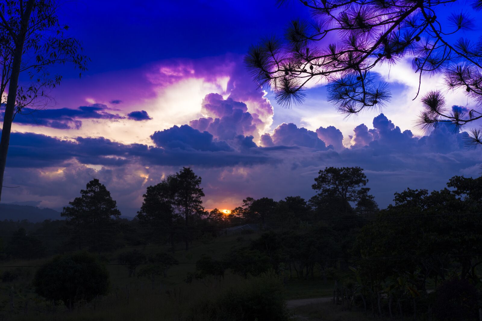 Nikon D7200 sample photo. Landscape, afternoon, horizon photography