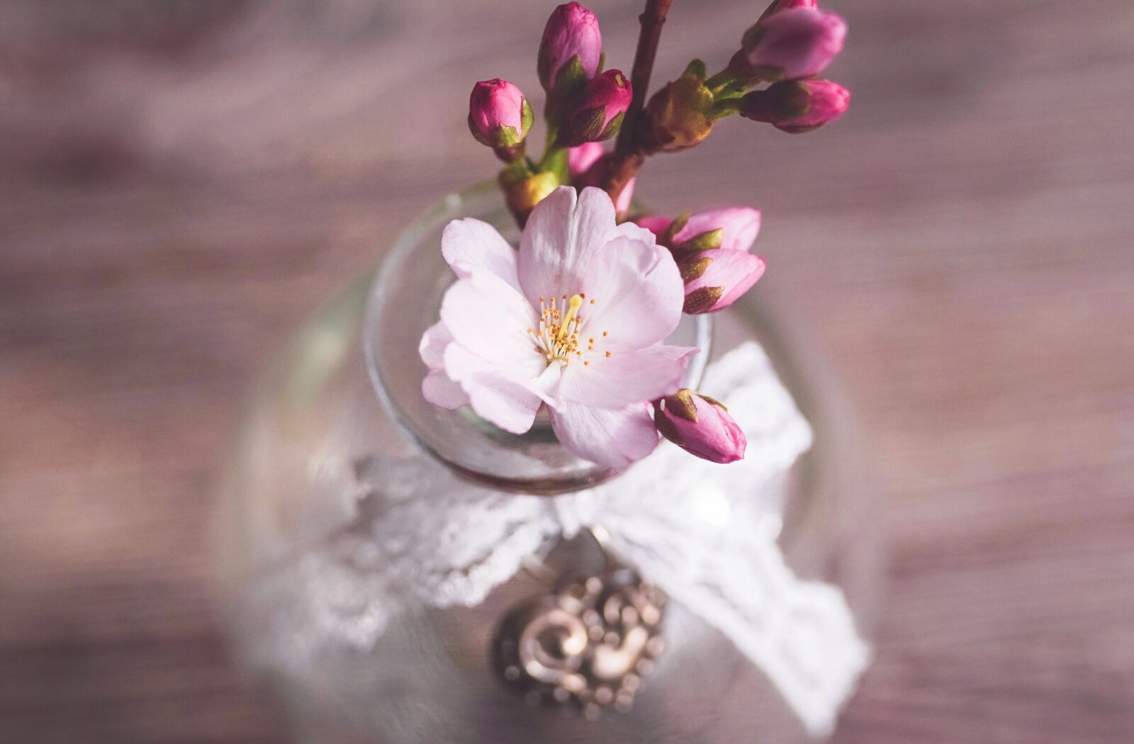 Sony ILCA-77M2 + 35mm F1.4 sample photo. Cherry blossoms, branch, pink photography