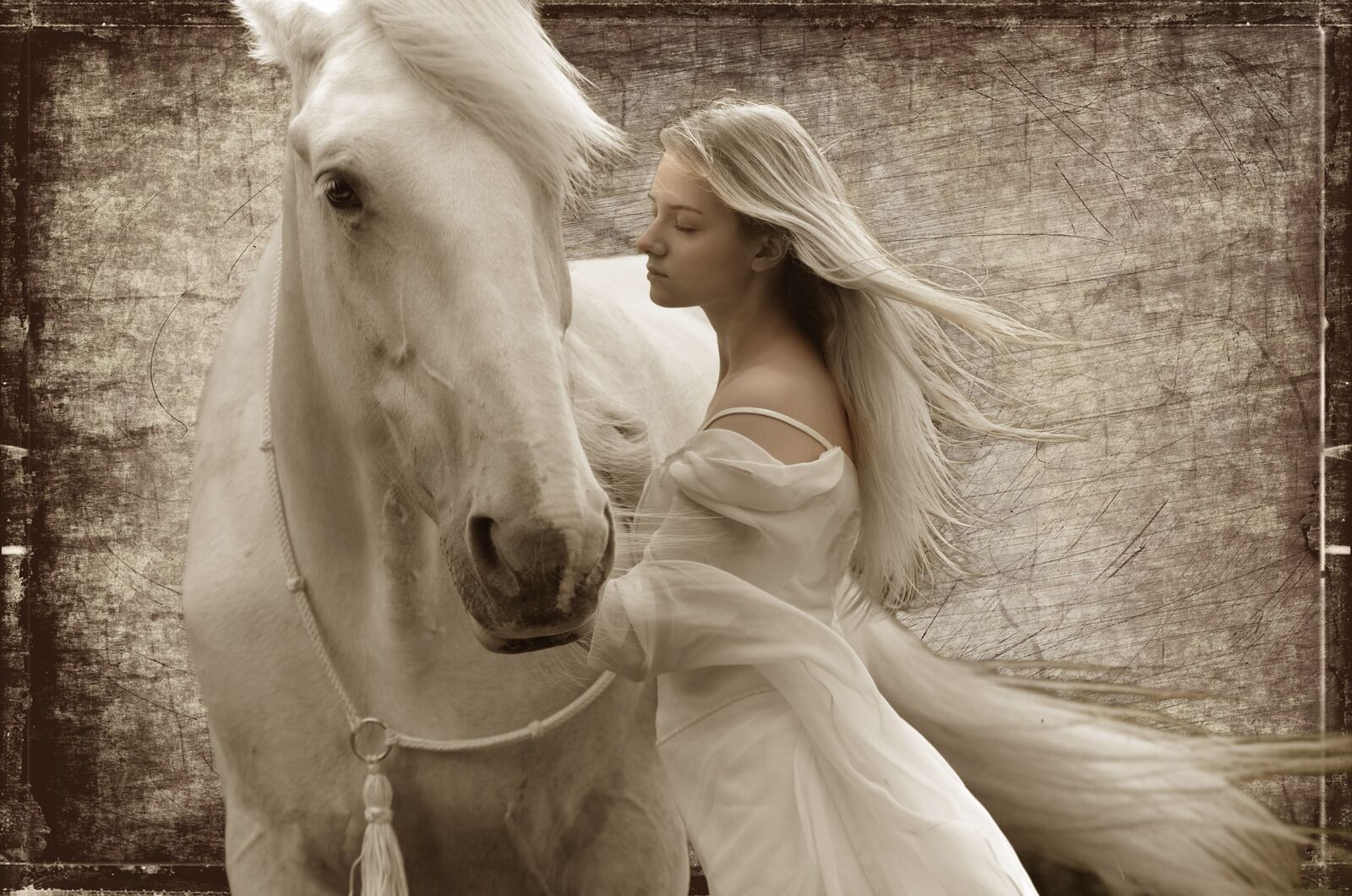 Nikon D5100 sample photo. Hors, girl, white photography