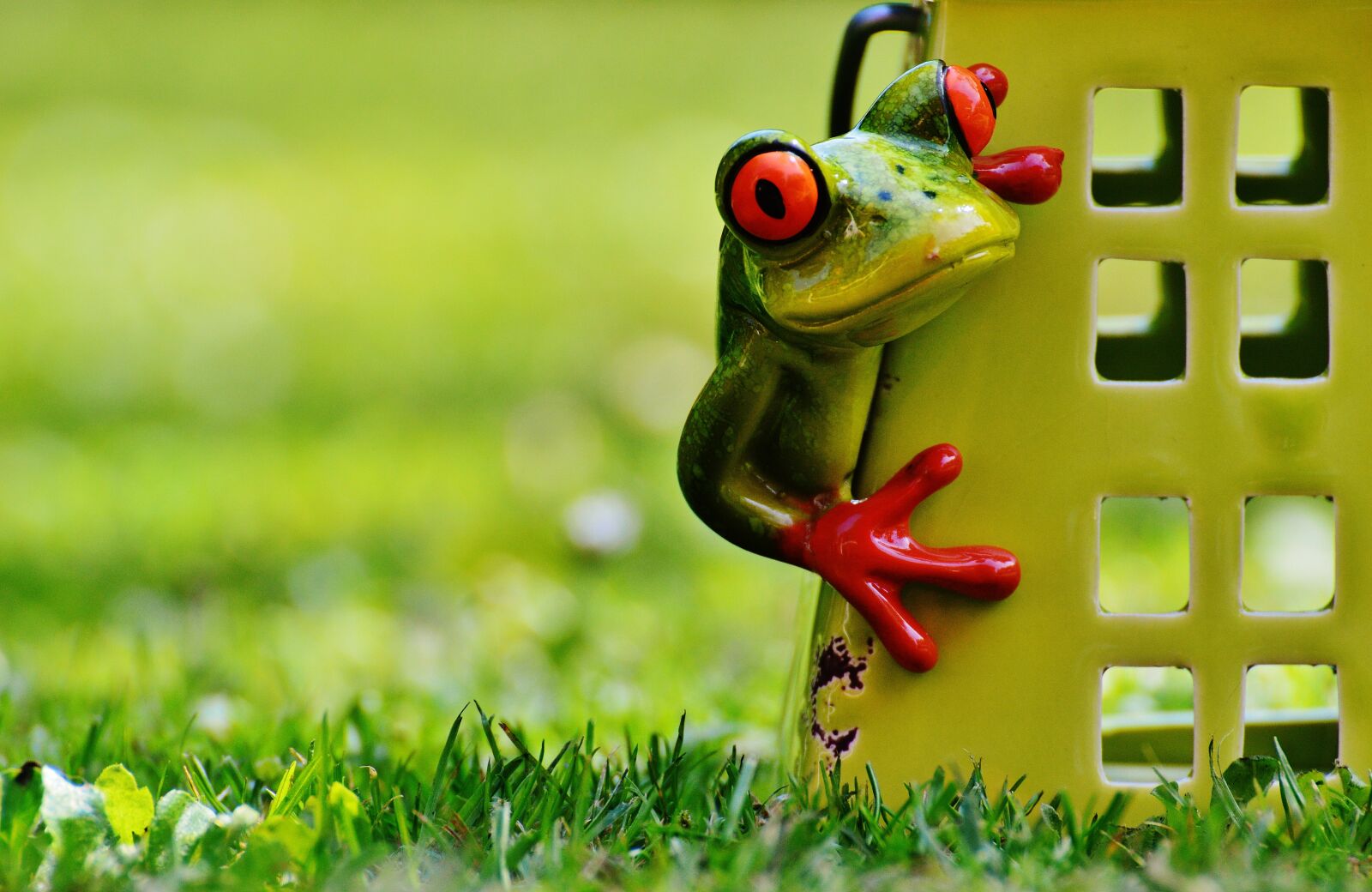 Nikon D3200 sample photo. Frog, house, funny photography