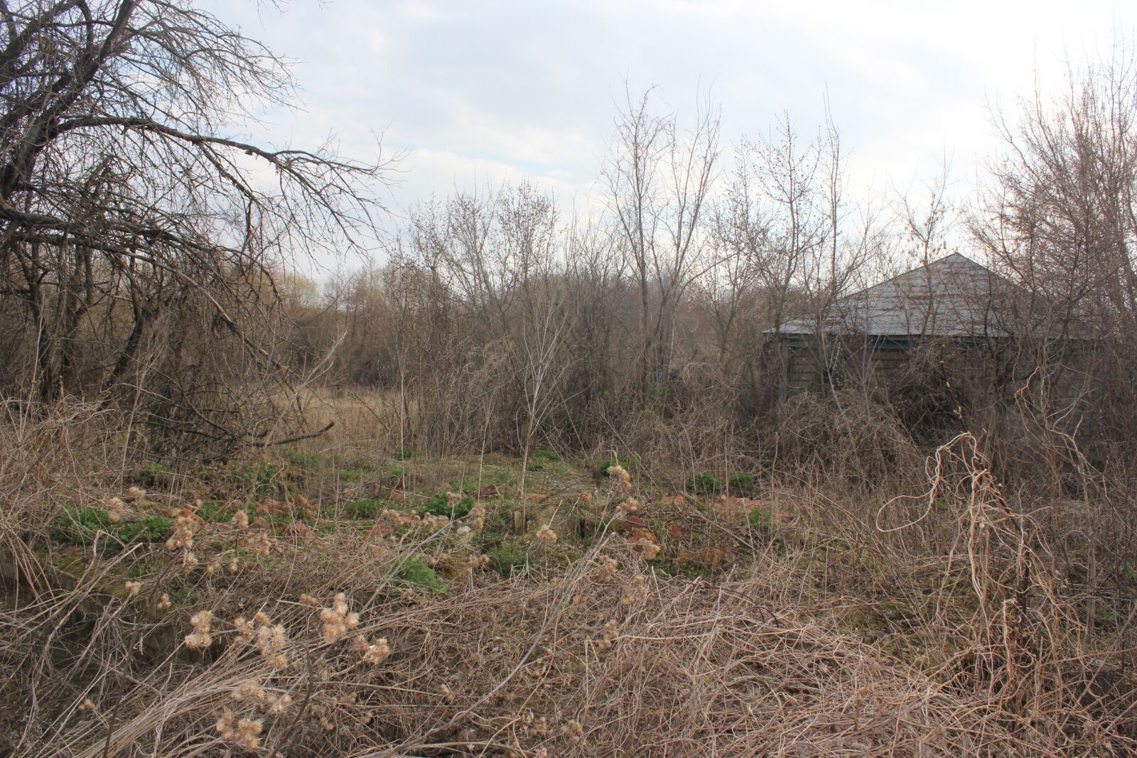Canon EOS 550D (EOS Rebel T2i / EOS Kiss X4) sample photo. The ruins of the photography