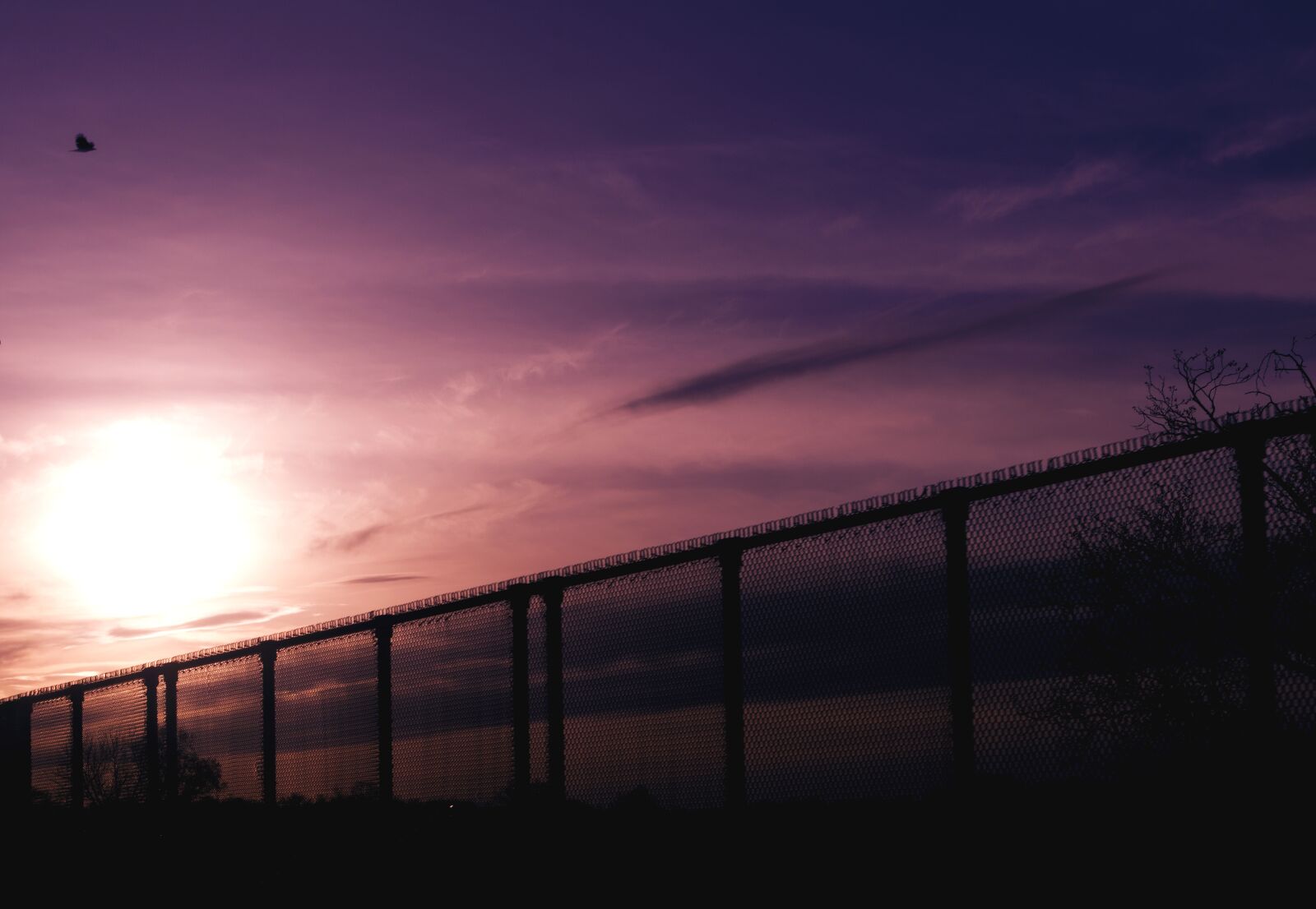 Nikon D3200 sample photo. Sky, colorful, pink photography
