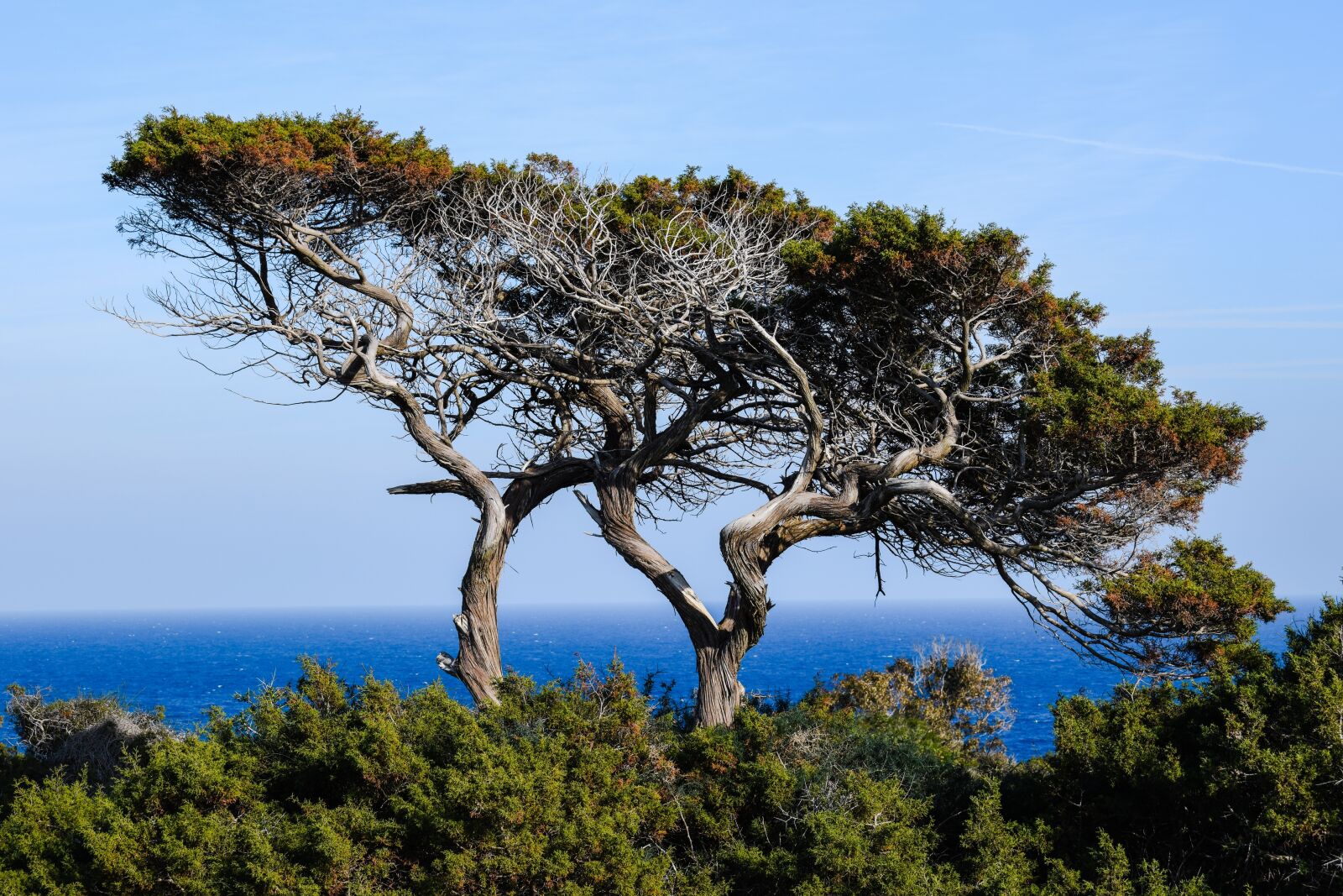 Nikon D3300 sample photo. Cyprus, cavo greko, national photography