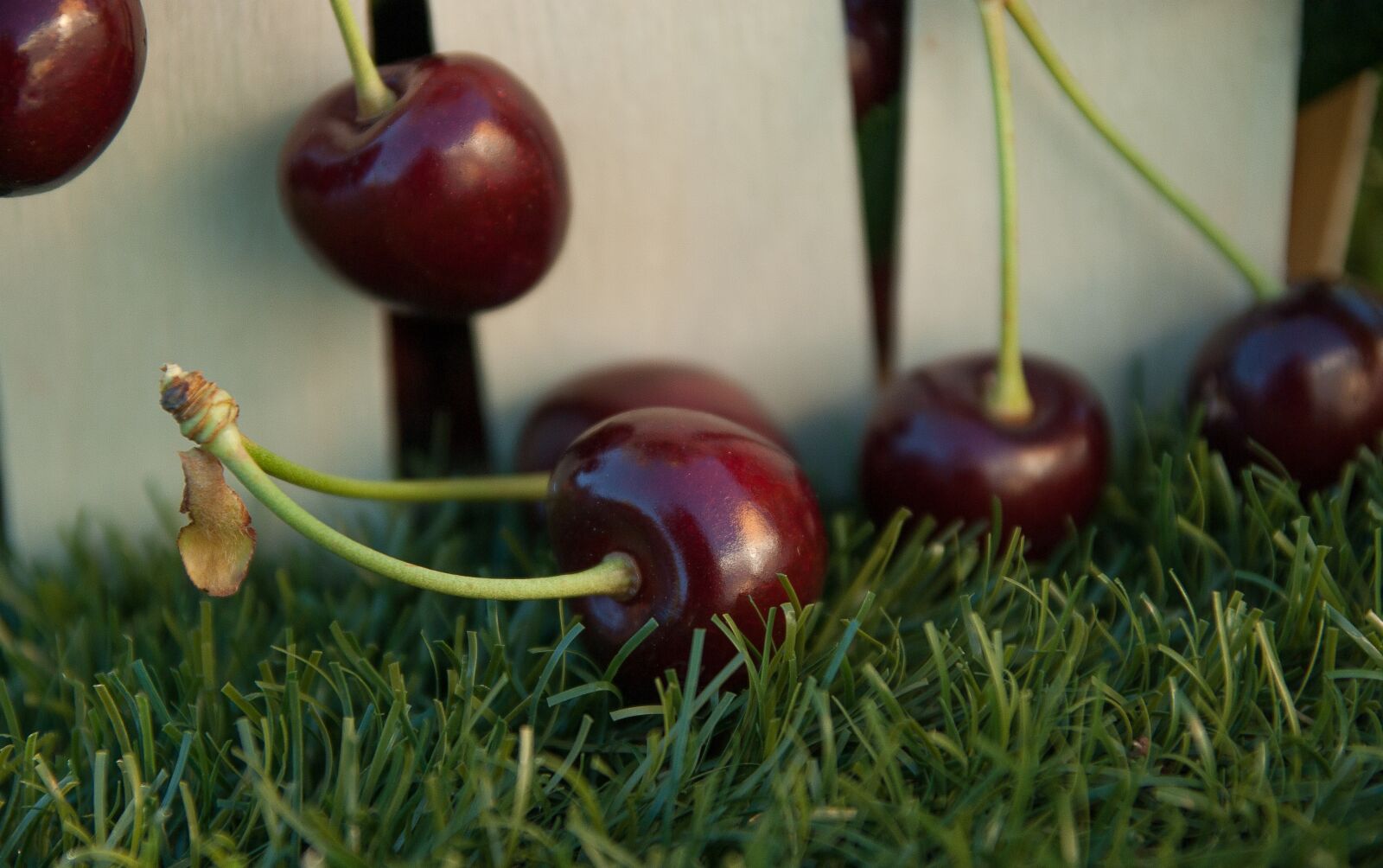 Pentax K10D sample photo. Cherries, fruit, red fruits photography