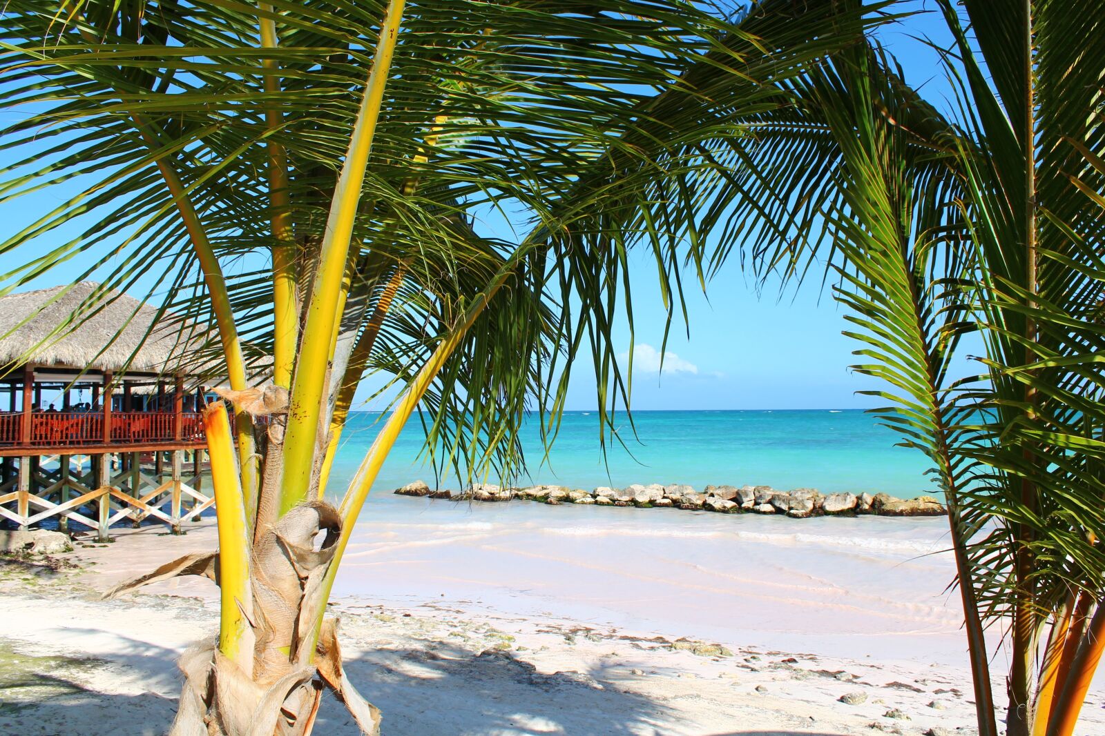 Canon EOS 1100D (EOS Rebel T3 / EOS Kiss X50) sample photo. Palm, vacancy, tropics photography