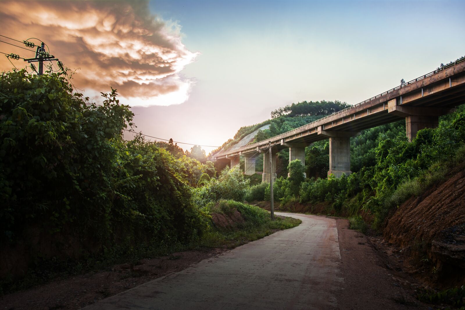 Nikon D7100 sample photo. Nature, construction, bridge photography