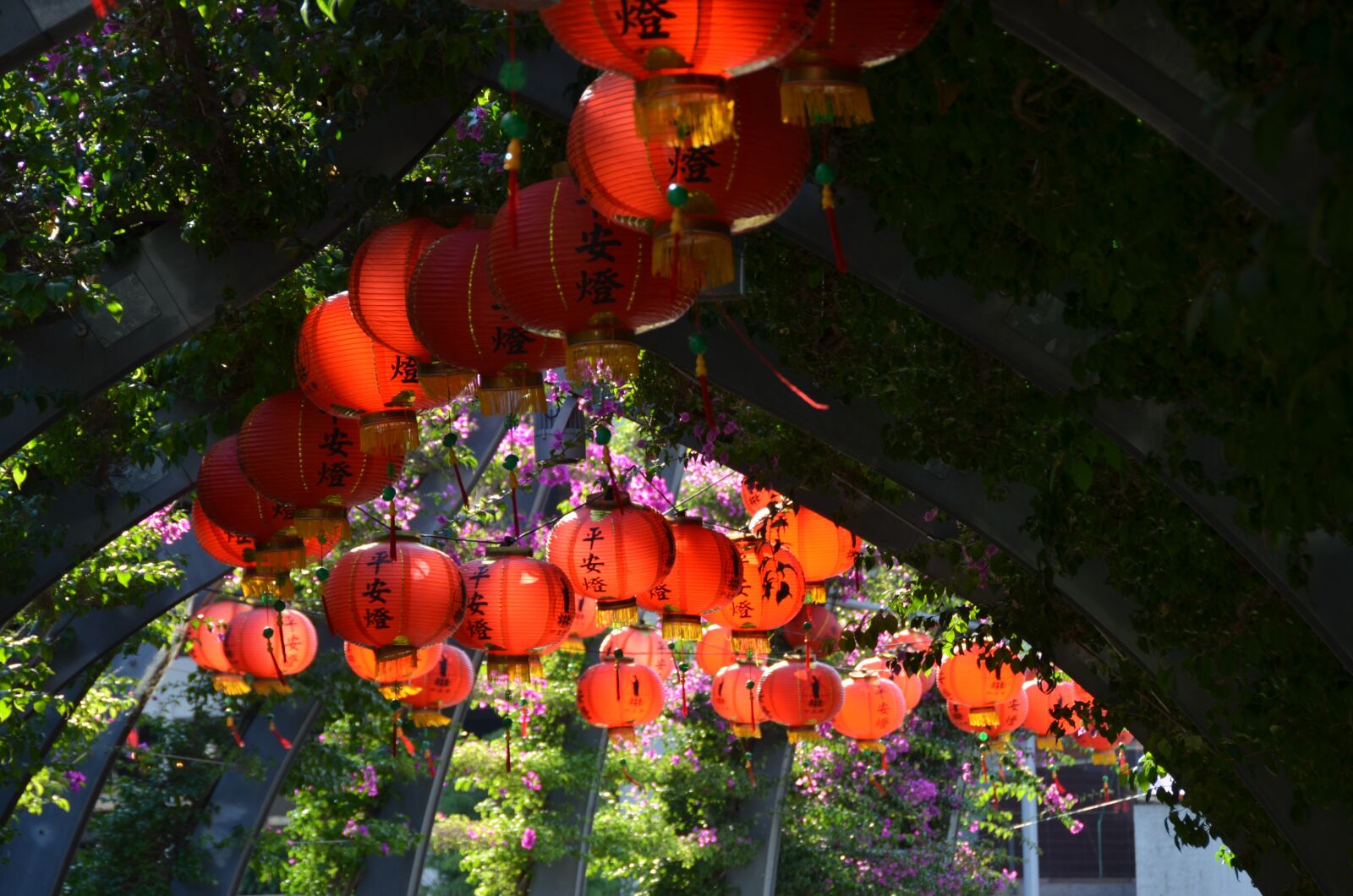 Nikon D5100 sample photo. Chinese lanterns, buddha, festival photography