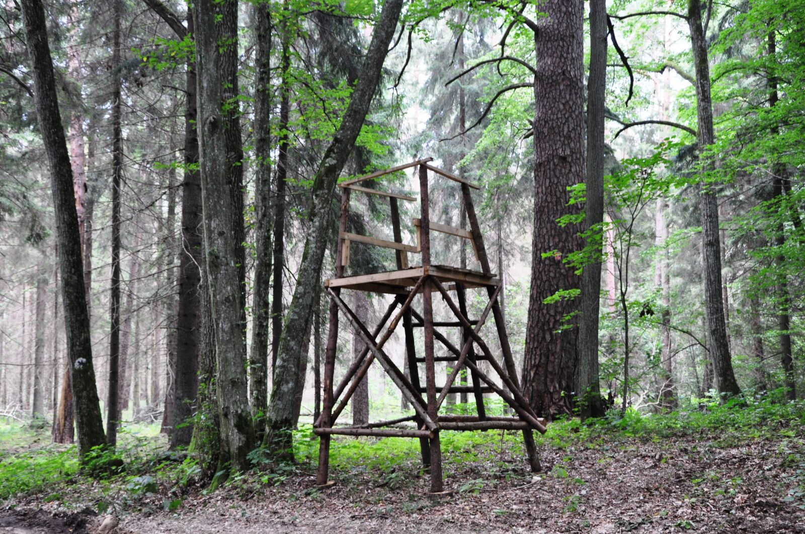 Nikon D90 sample photo. Pulpit, hunters, hunting photography