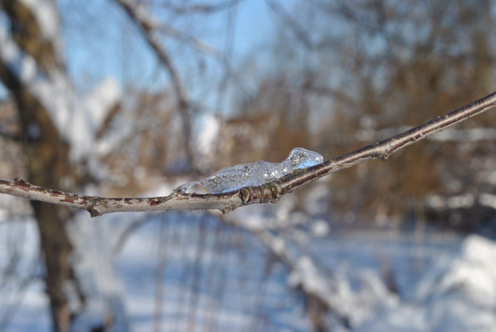Nikon D3000 sample photo. Ice, frost, figures photography