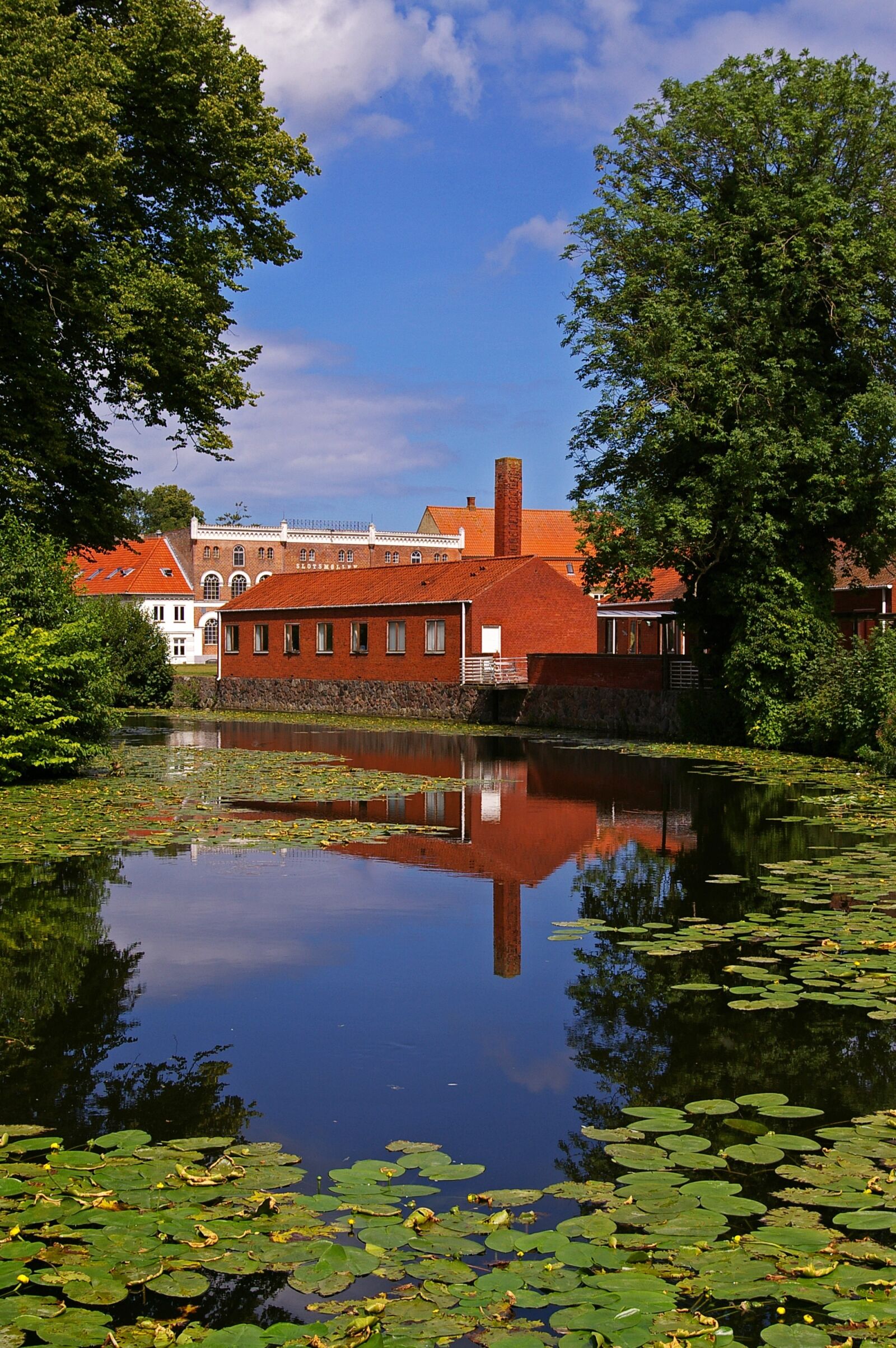 Pentax *ist DL2 sample photo. Mirroring, water reflection, water photography