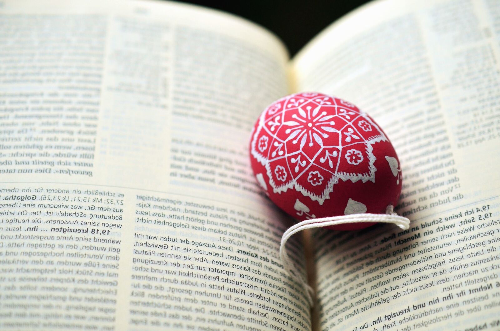 Nikon D5100 sample photo. Egg, book, easter, color photography