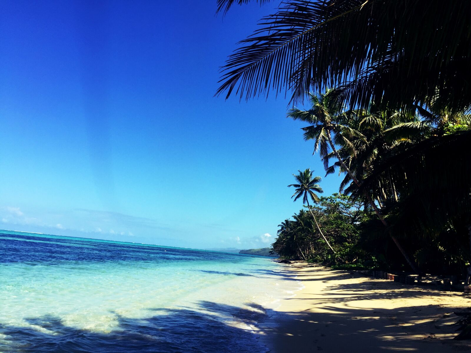 Apple iPhone 6 sample photo