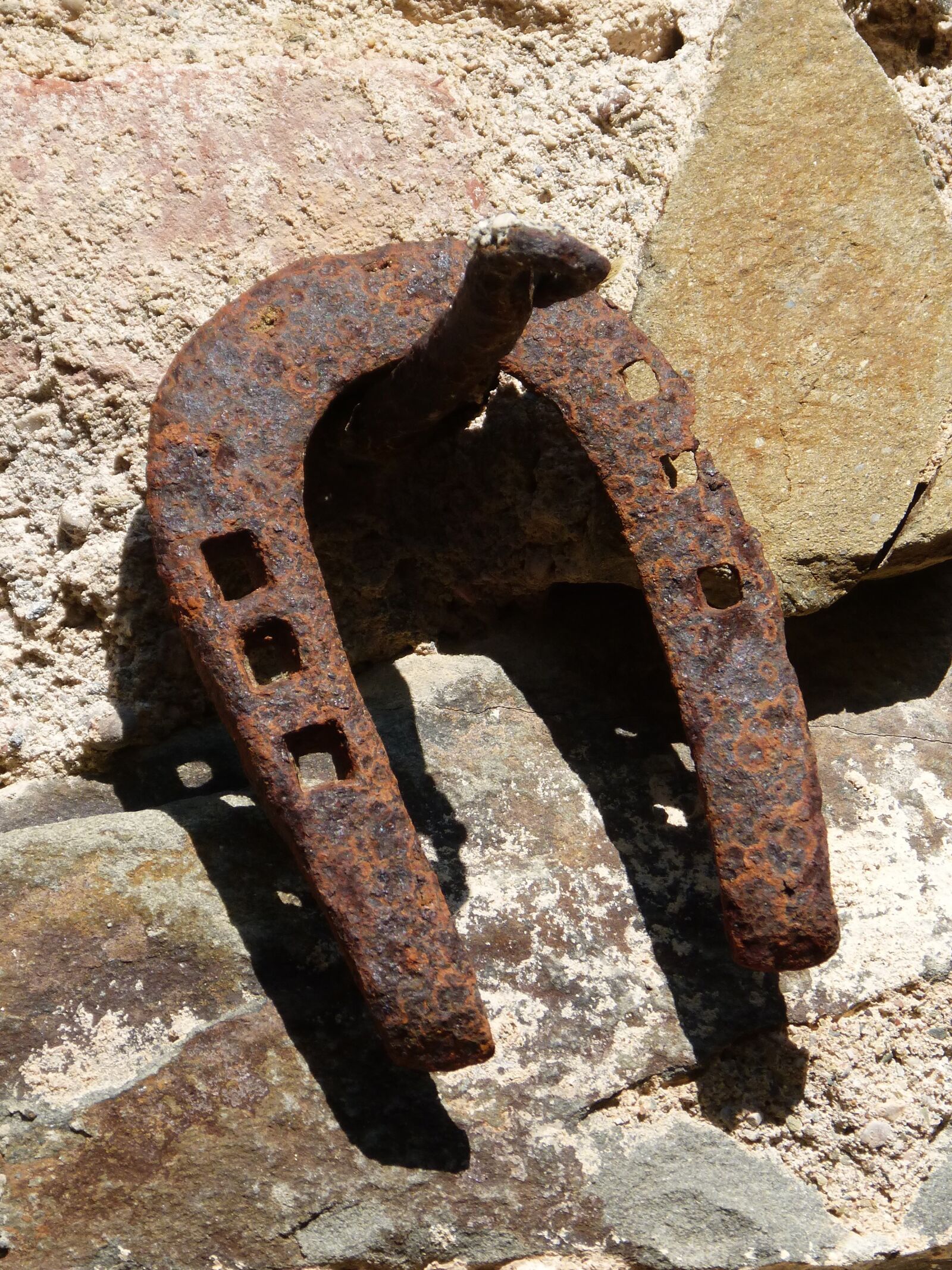 Panasonic DMC-FZ62 sample photo. Horseshoe, good luck, rusty photography