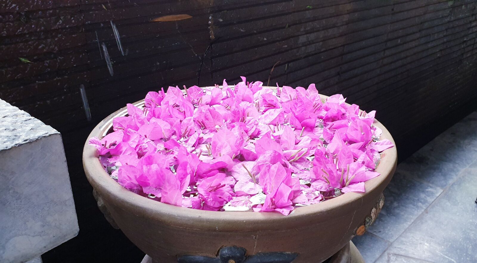 Samsung Galaxy Note9 sample photo. Pink, floating, flowers photography
