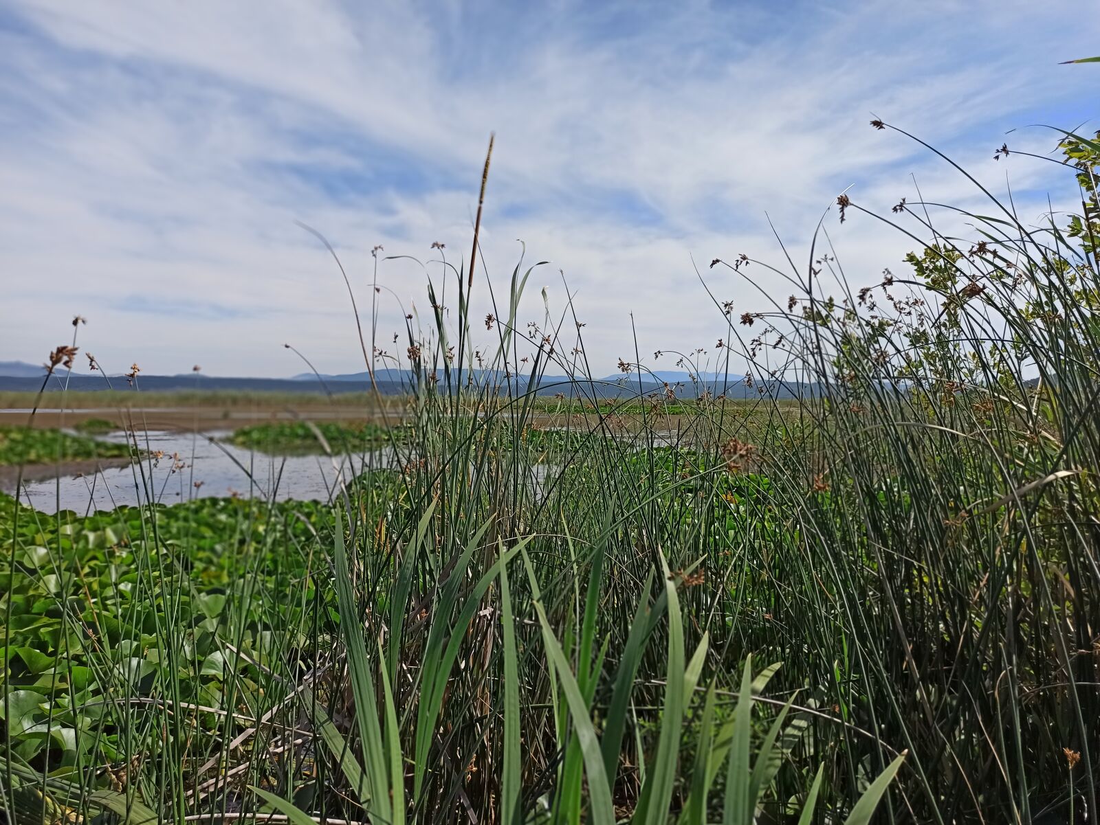 Xiaomi Redmi Note 8 Pro sample photo. Lake, of, city photography