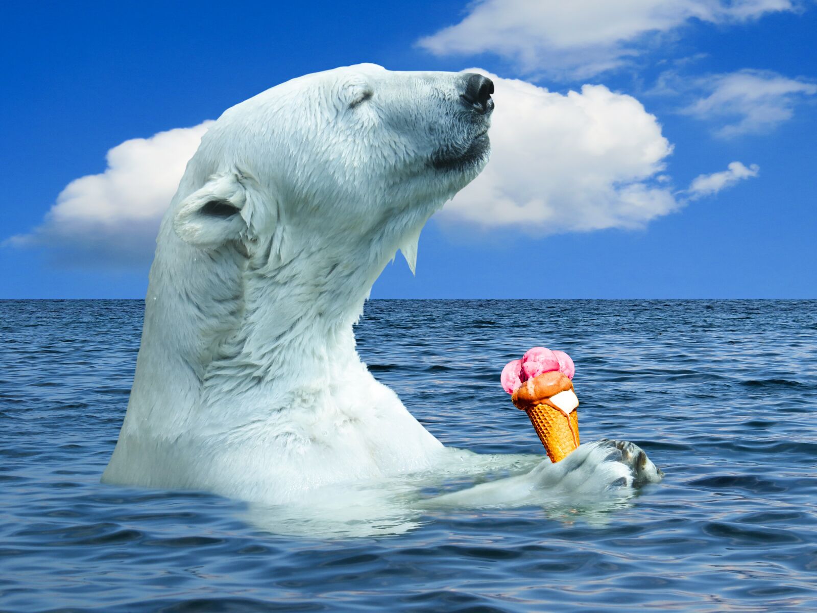 Canon PowerShot SX50 HS sample photo. Polar bear, animal, predator photography