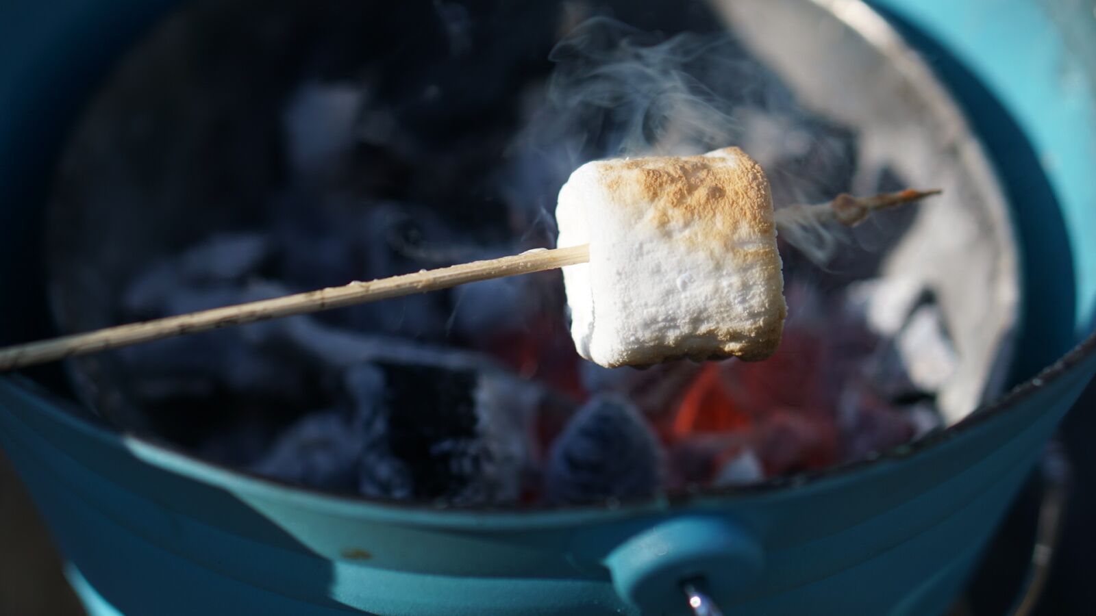 E 50mm F1.8 OSS sample photo. Marshmallow, grilling, charcoal photography