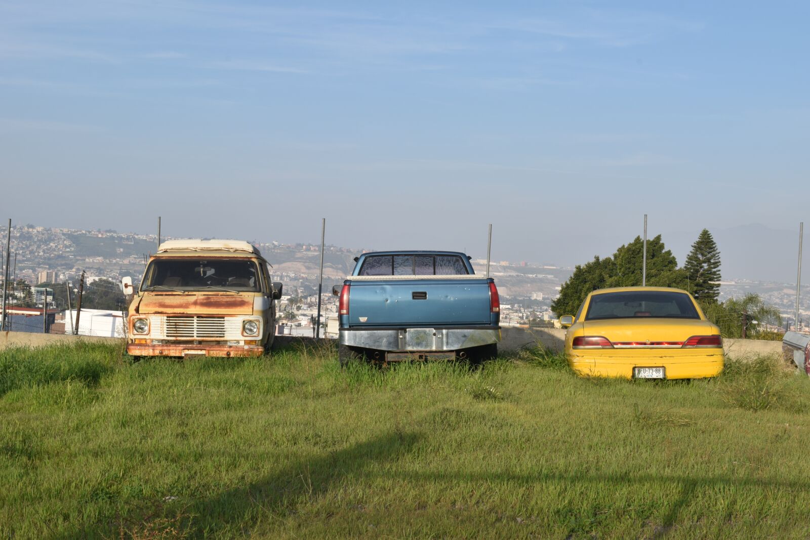Nikon D3300 sample photo. Grass, cars, classics photography