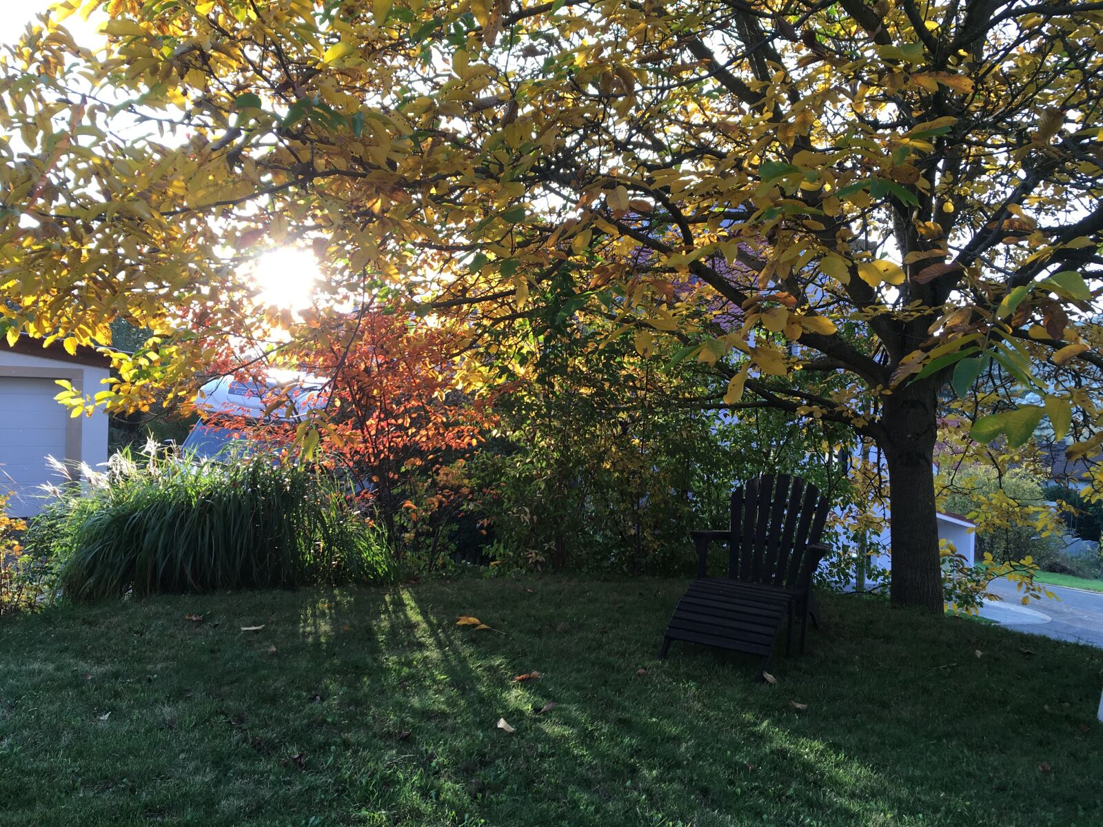 Apple iPhone SE sample photo. Autumn, garden, coziness photography