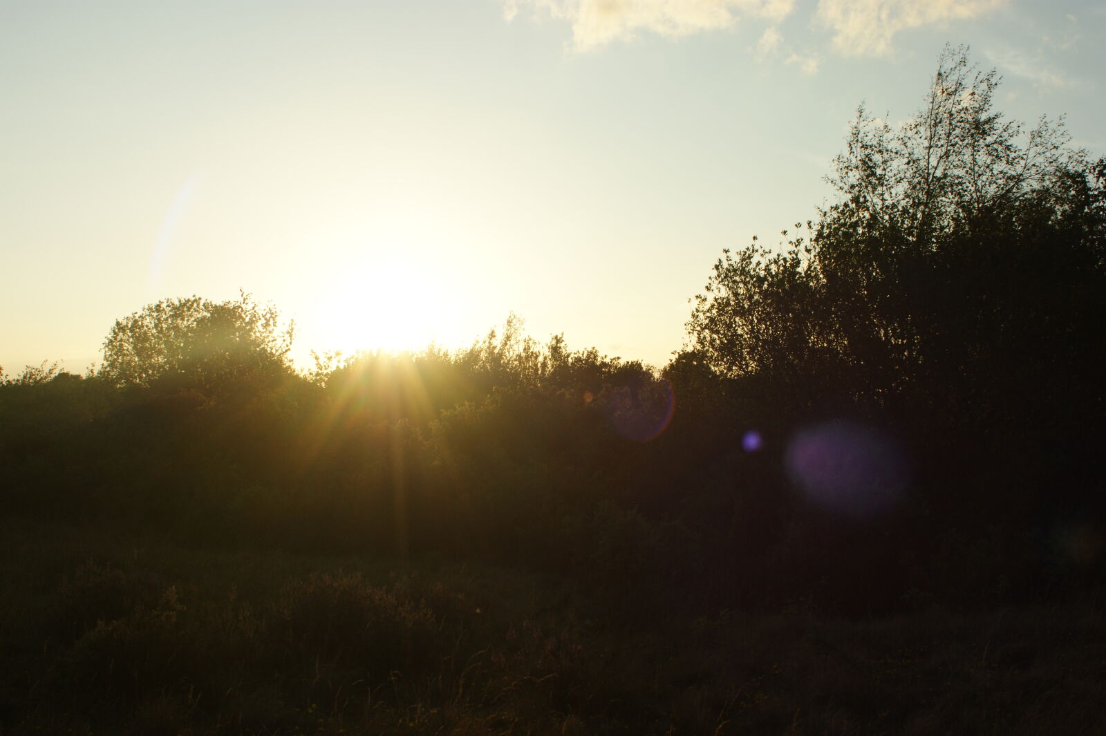 Sony Alpha DSLR-A390 + Minolta AF 28-85mm F3.5-4.5 sample photo