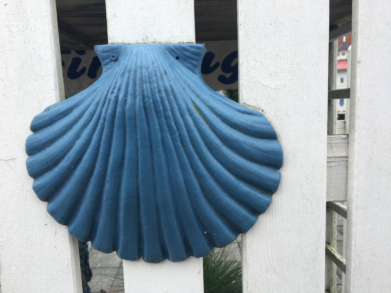 iPhone 6s back camera 4.15mm f/2.2 sample photo. Blau, meer, muschel, pilgern photography