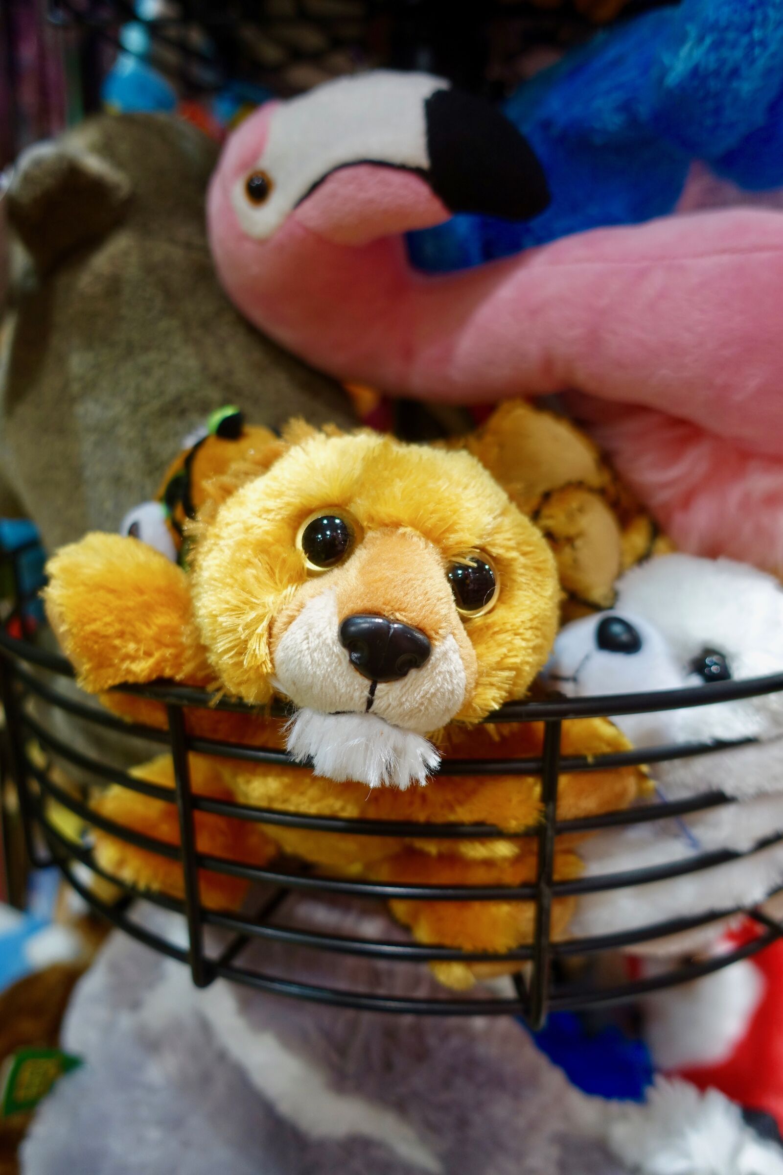 Sony Cyber-shot DSC-RX100 III sample photo. Toys, soft, cuddly photography