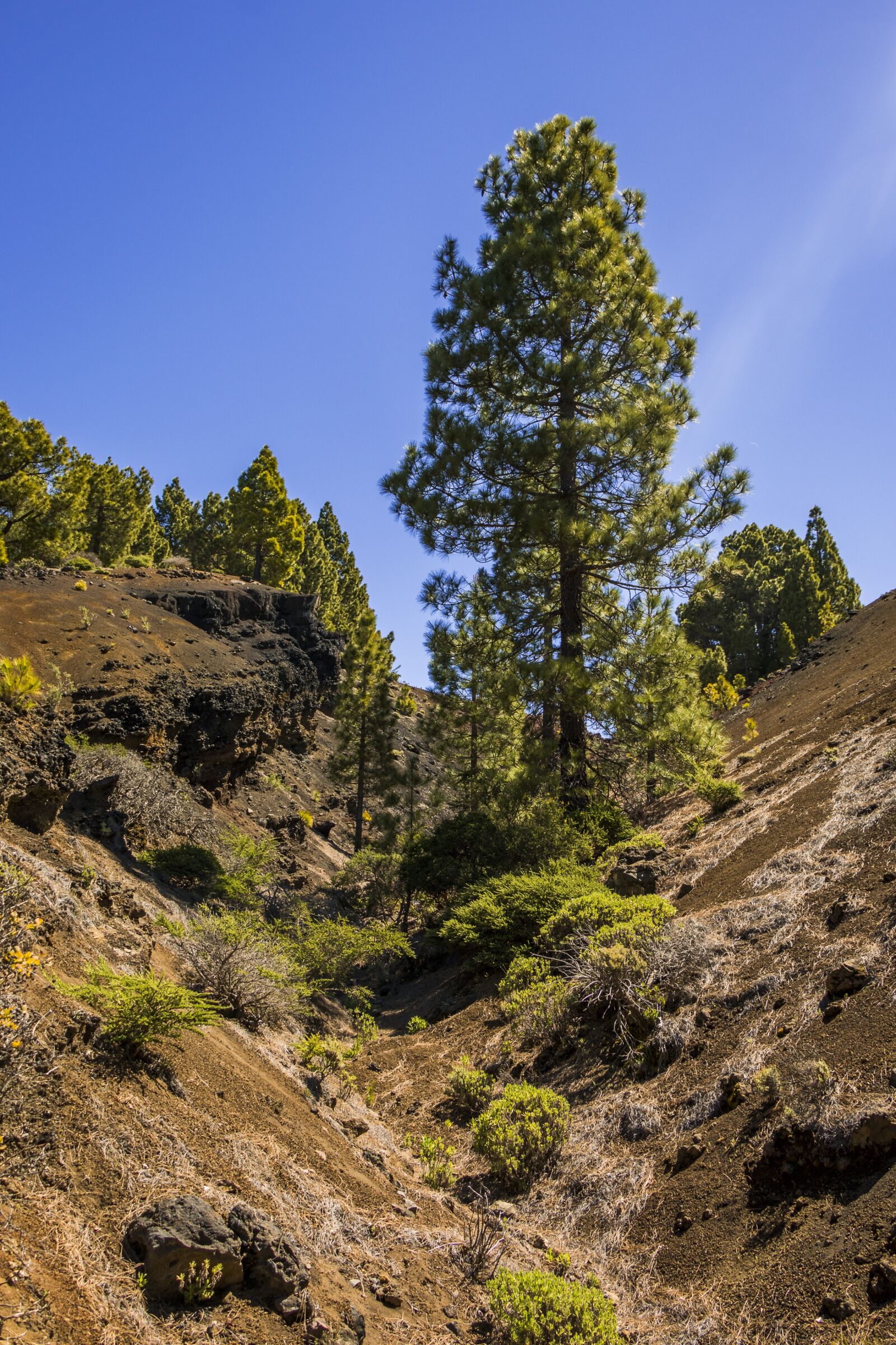Canon EOS 70D sample photo. Volcano, canary islands, volcanic photography