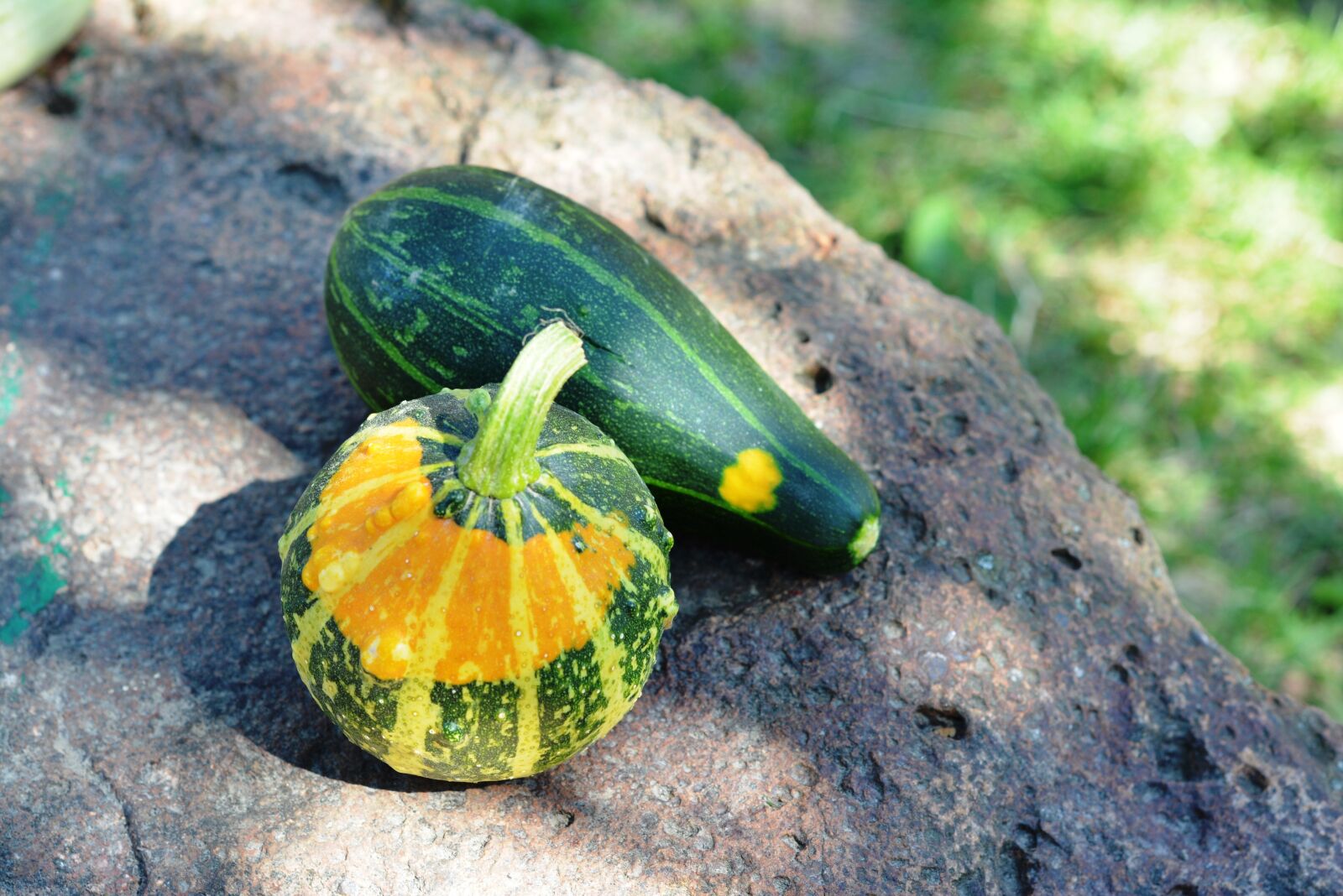 Nikon D5200 sample photo. Pumpkin, pumpkins, ornamental pumpkins photography