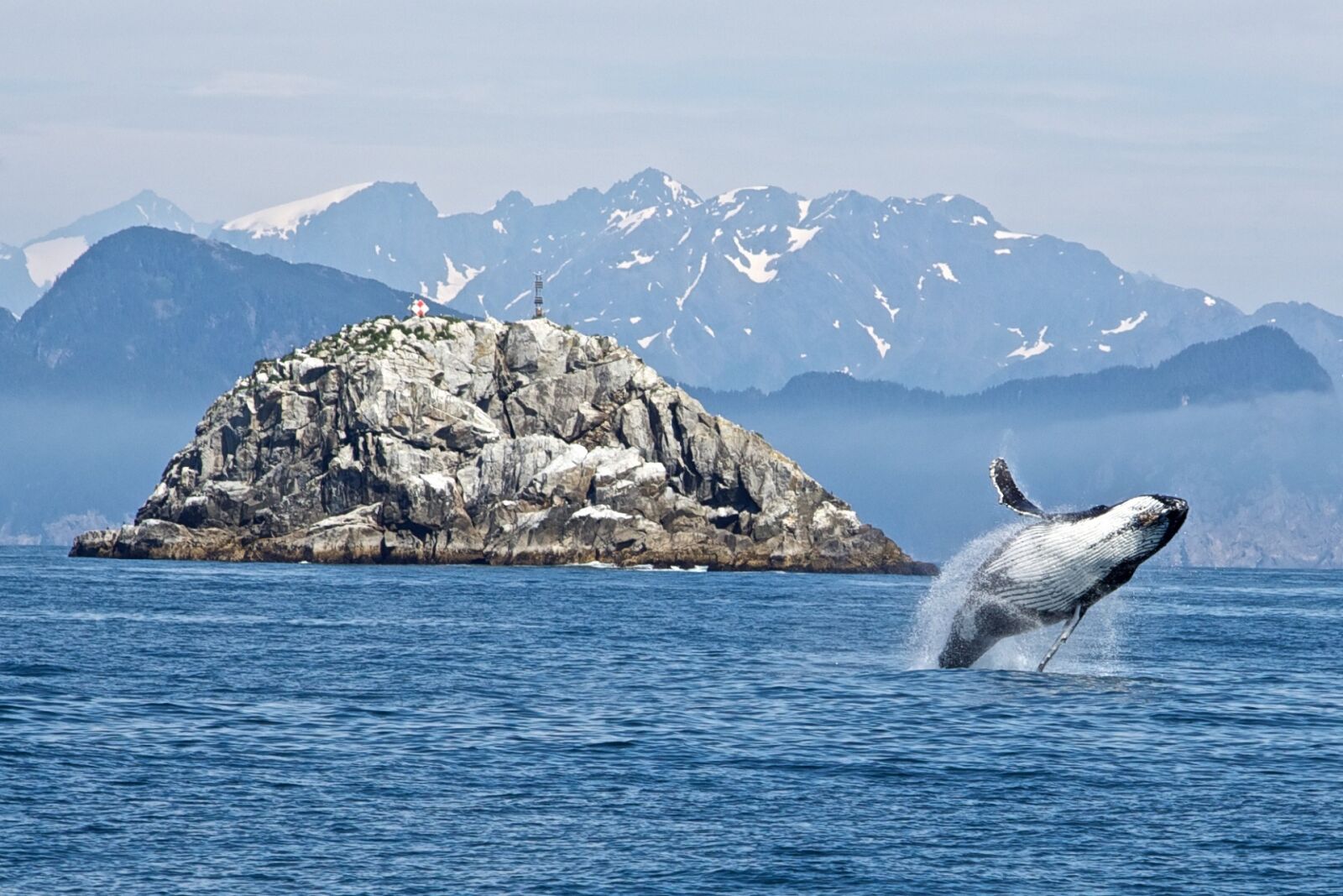 Canon EF 24-105mm F4L IS USM sample photo. Humpback whale, breaching, ocean photography