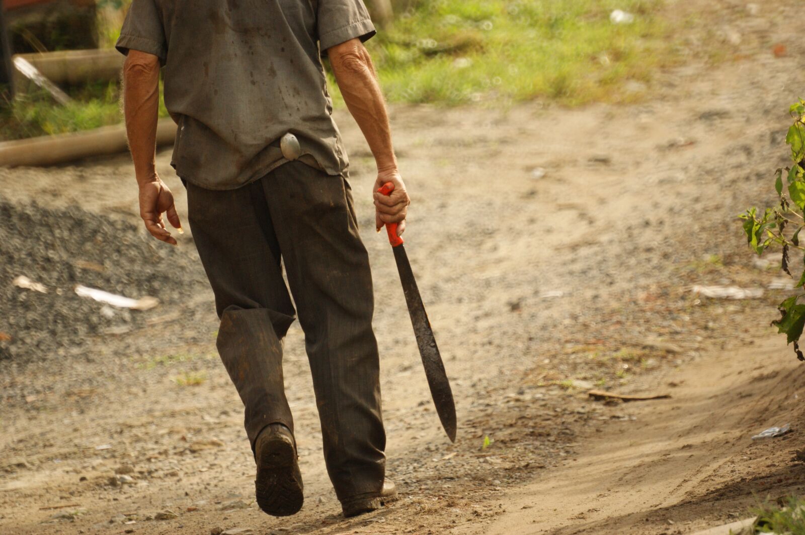 Sony Alpha DSLR-A390 sample photo. People, of the, field photography