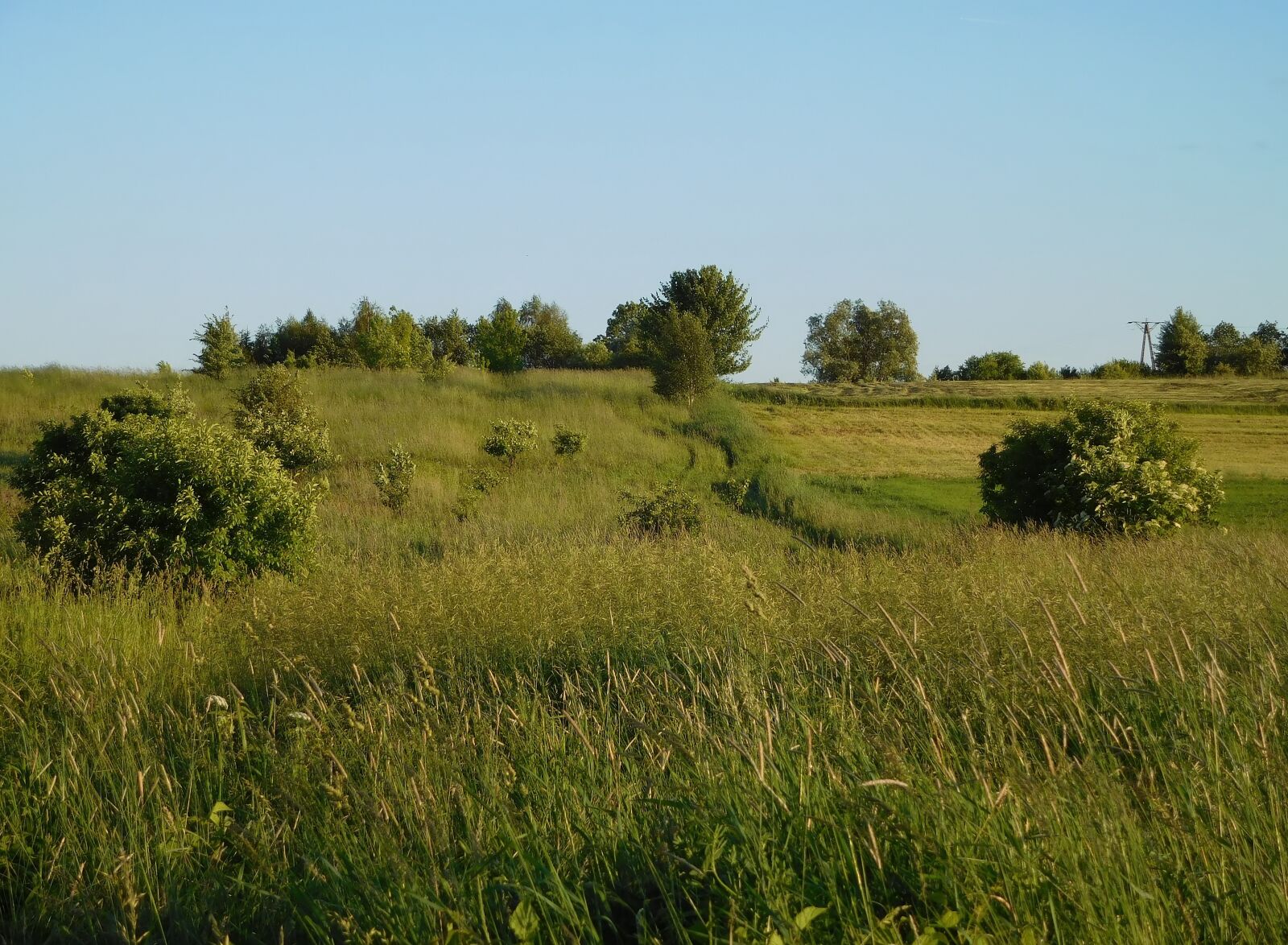 Nikon Coolpix S7000 sample photo. Way, balk, grass photography