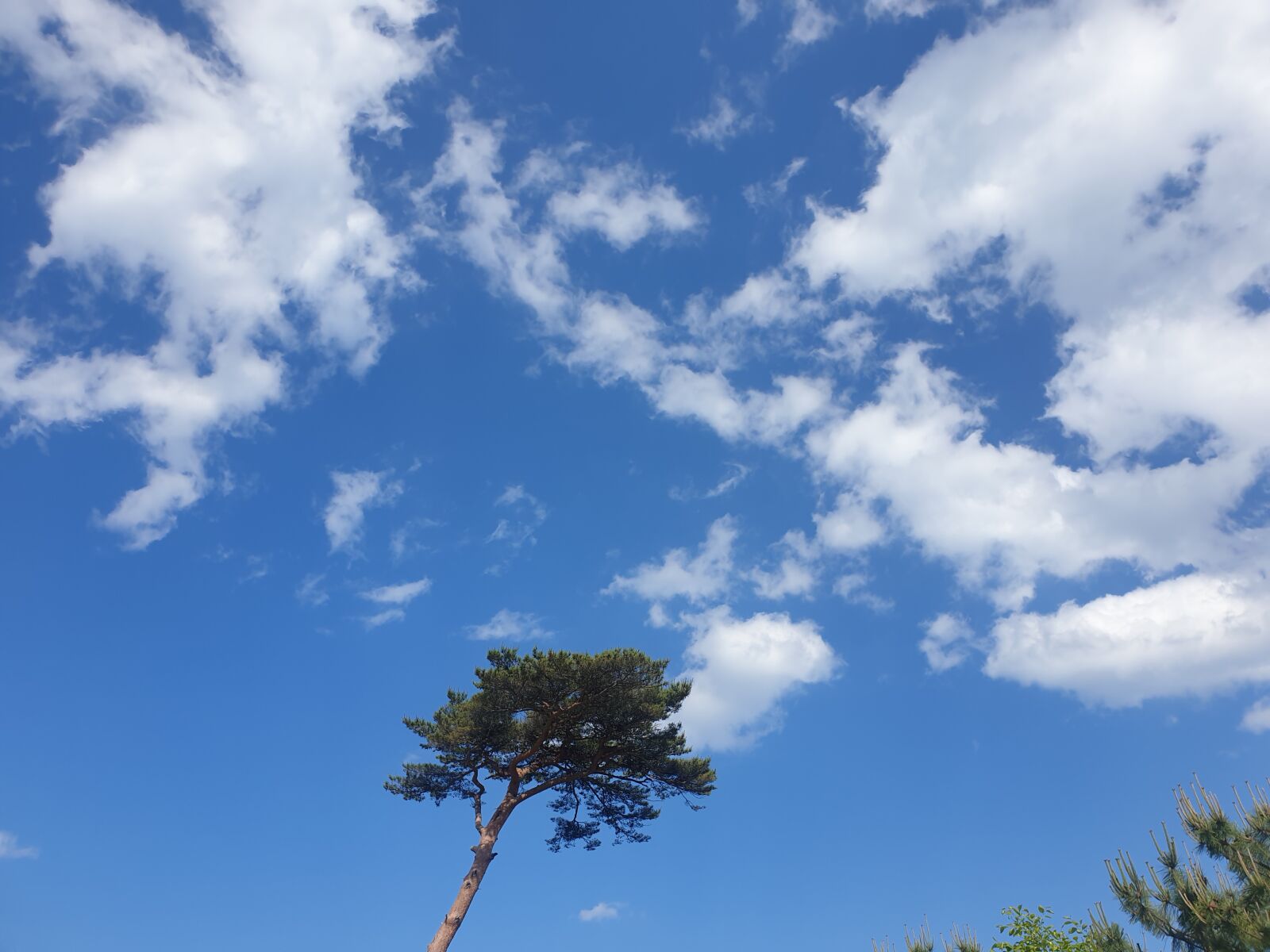 Samsung Galaxy Note9 sample photo. Sky, skyview, travel photography