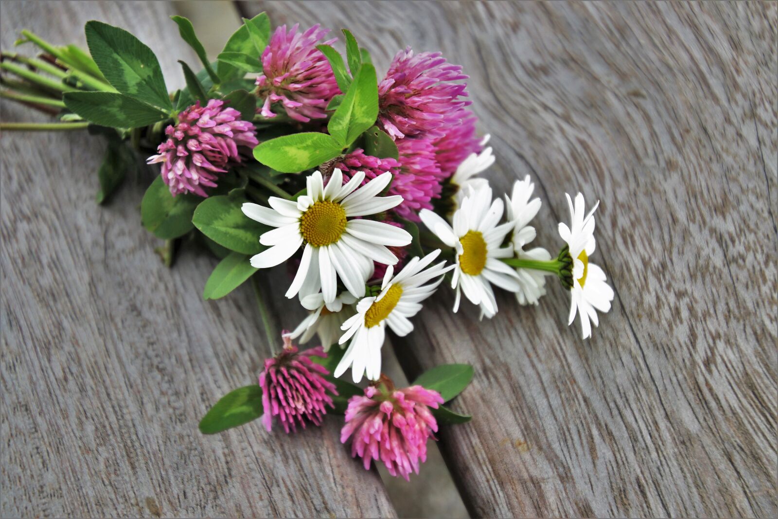 Canon EOS 80D sample photo. Bouquet, wooden, clover photography