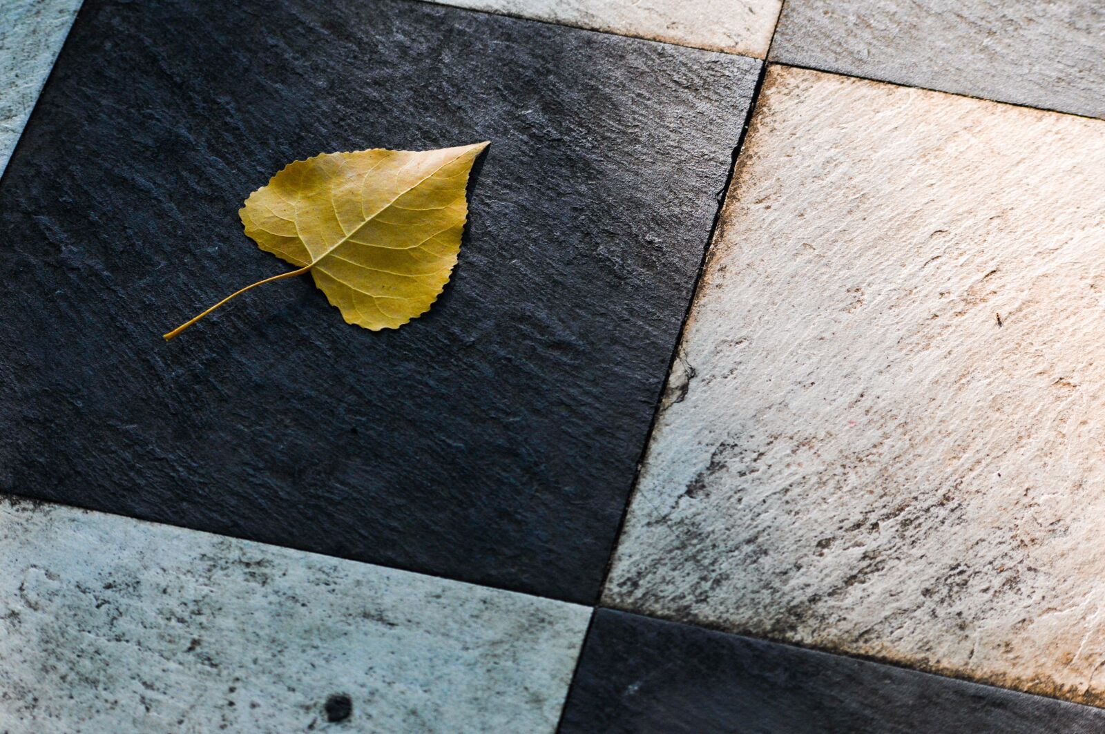 Nikon D90 sample photo. Leaf, tiles, floor photography